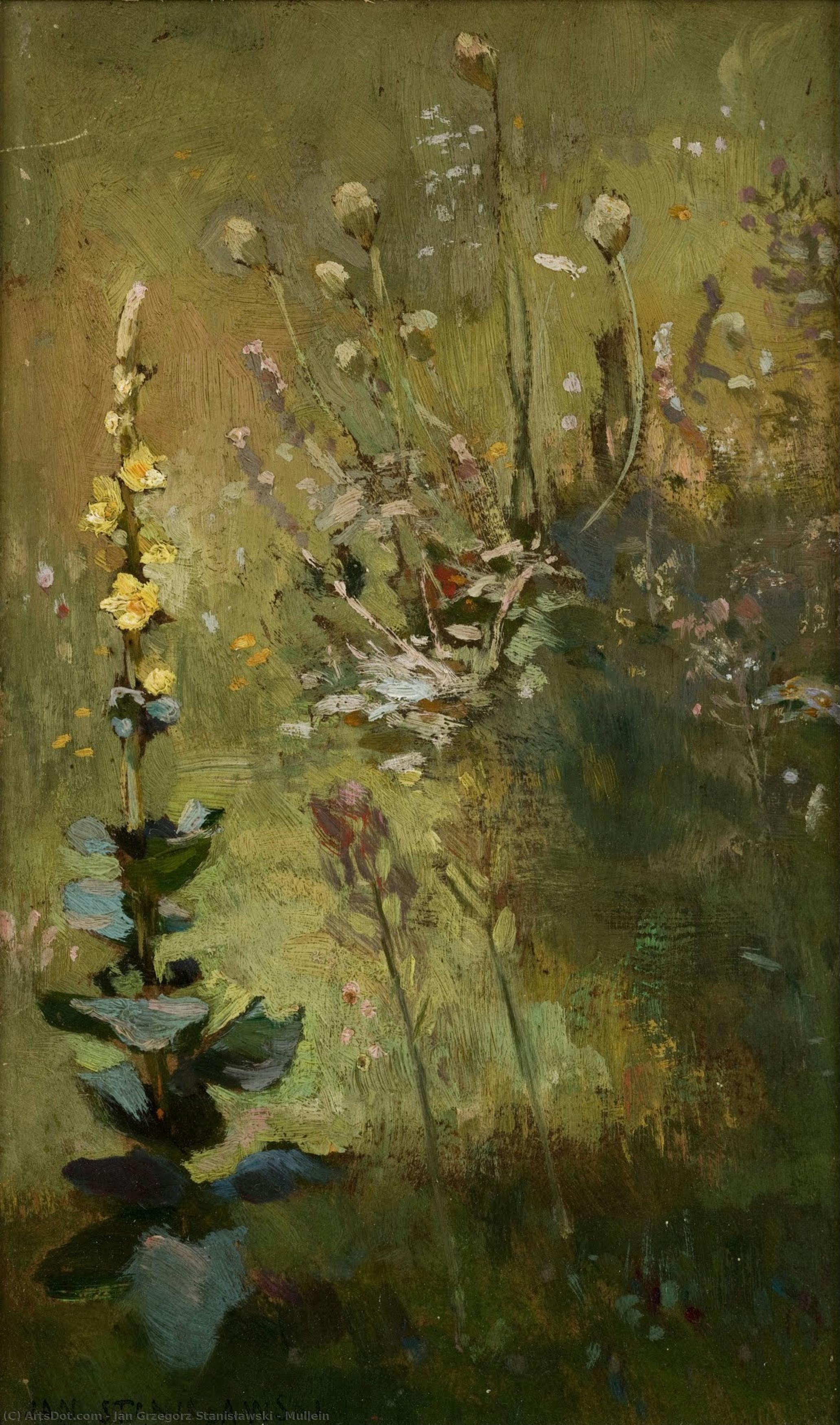 jan grzegorz stanisławski - Mullein
