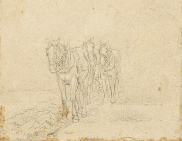 Three Horses Pulling A Plough — John Frederick Lewis