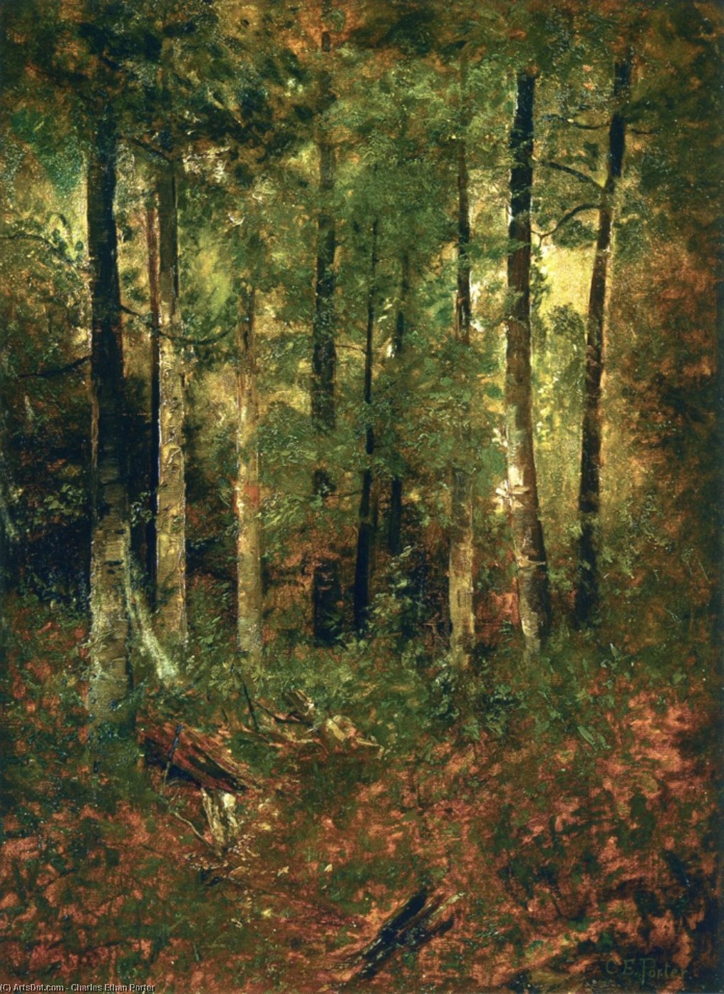 Forest Scene — Charles Ethan Porter