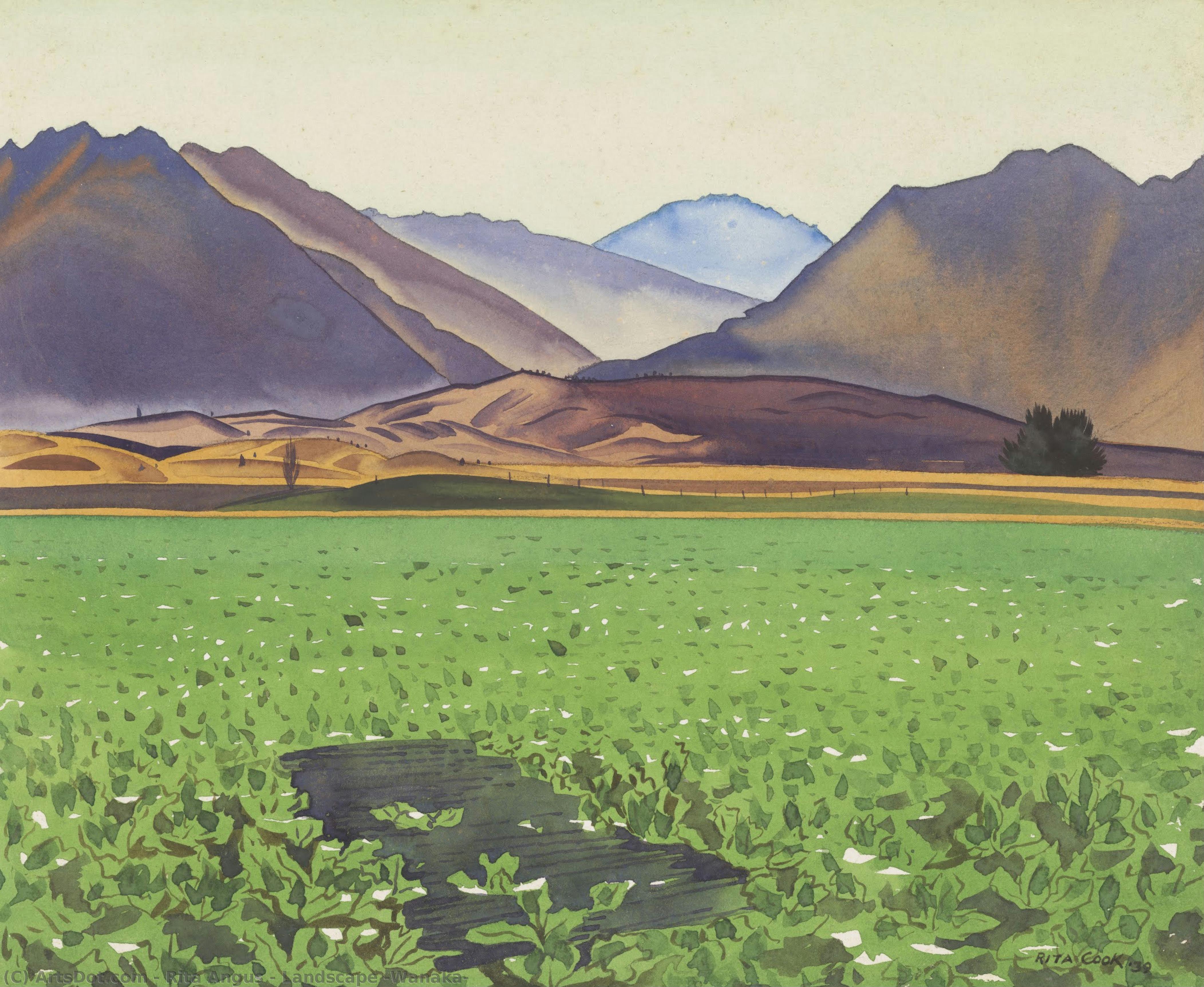 Landscape (wanaka) — Rita Angusová