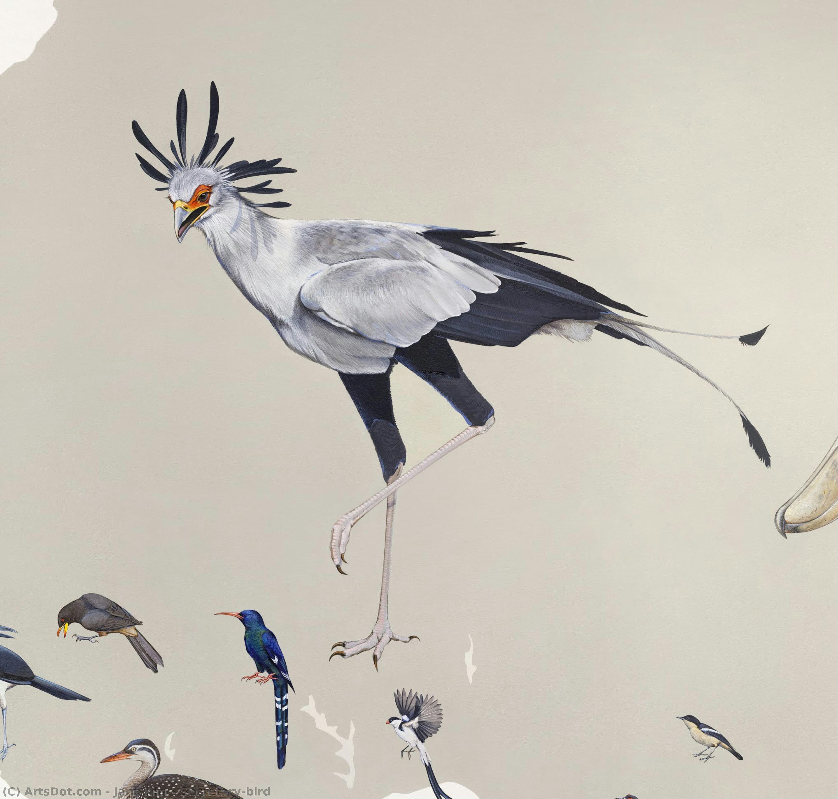 ジェーン・キム - Secretary-bird