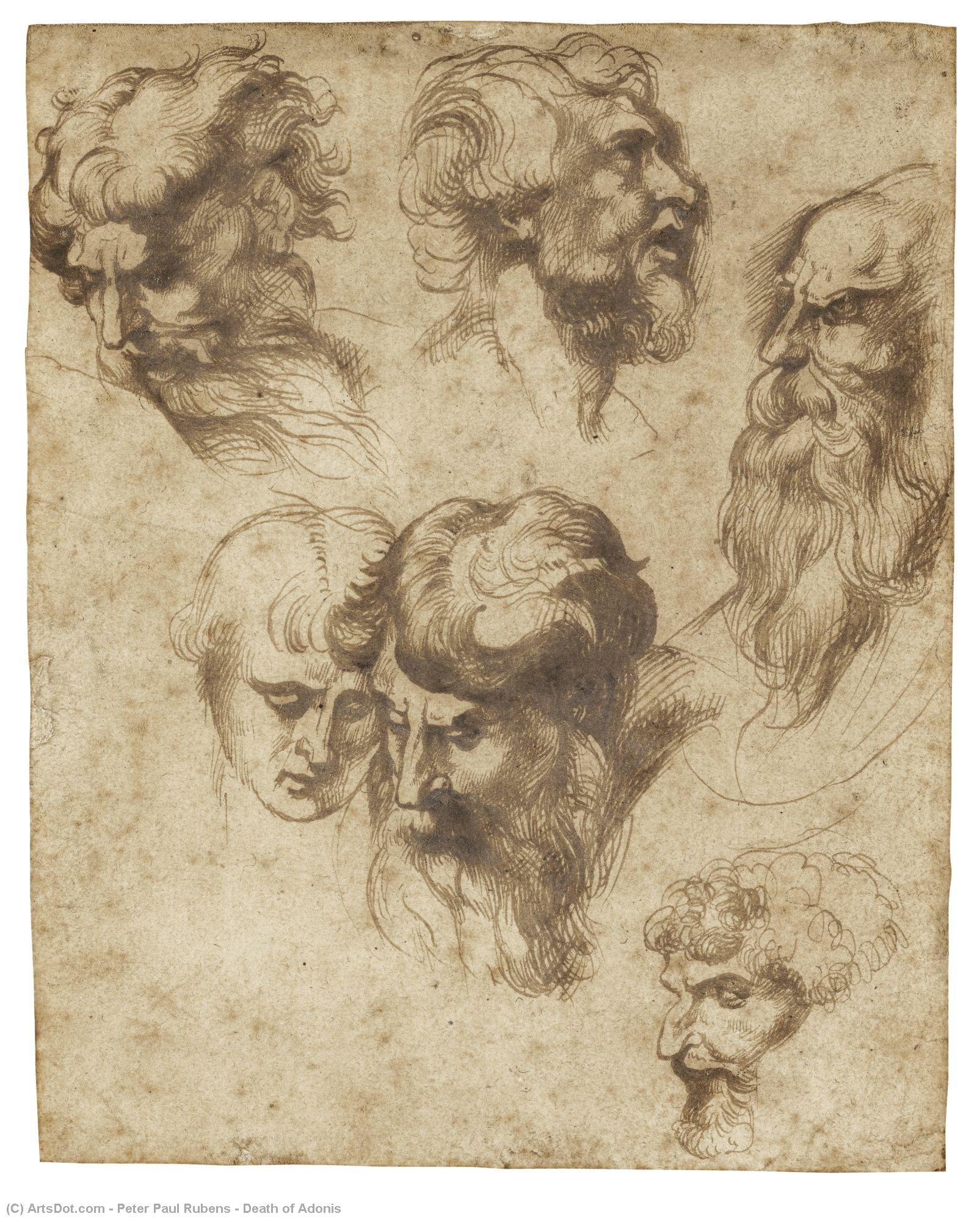 Todesbild Von Adonis — Peter Paul Rubens