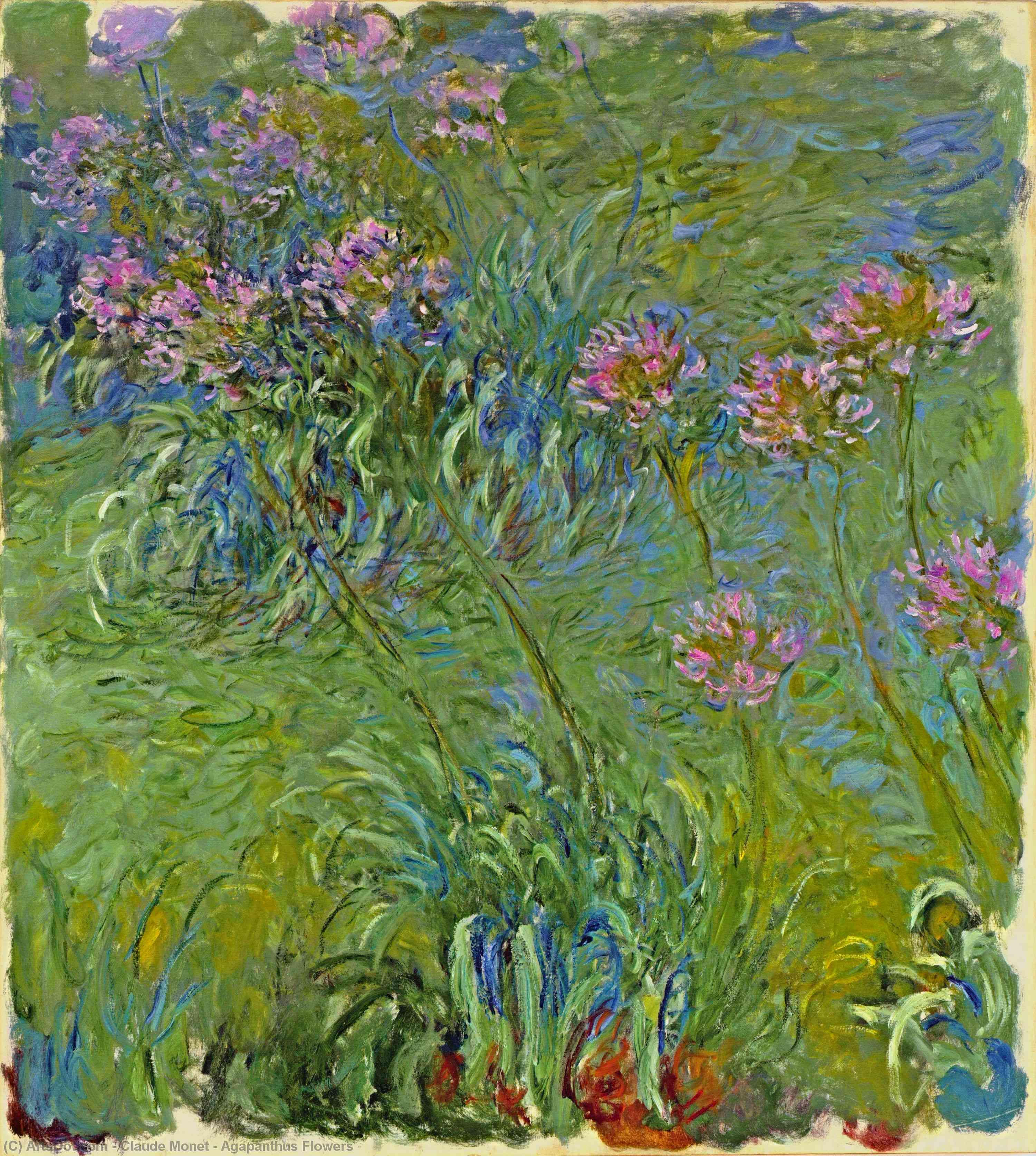 Agapanthus Flowers — Claude Monet