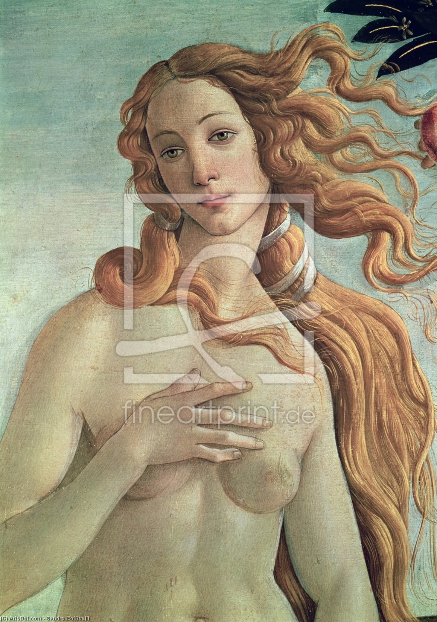Venere — Sandro Botticelli