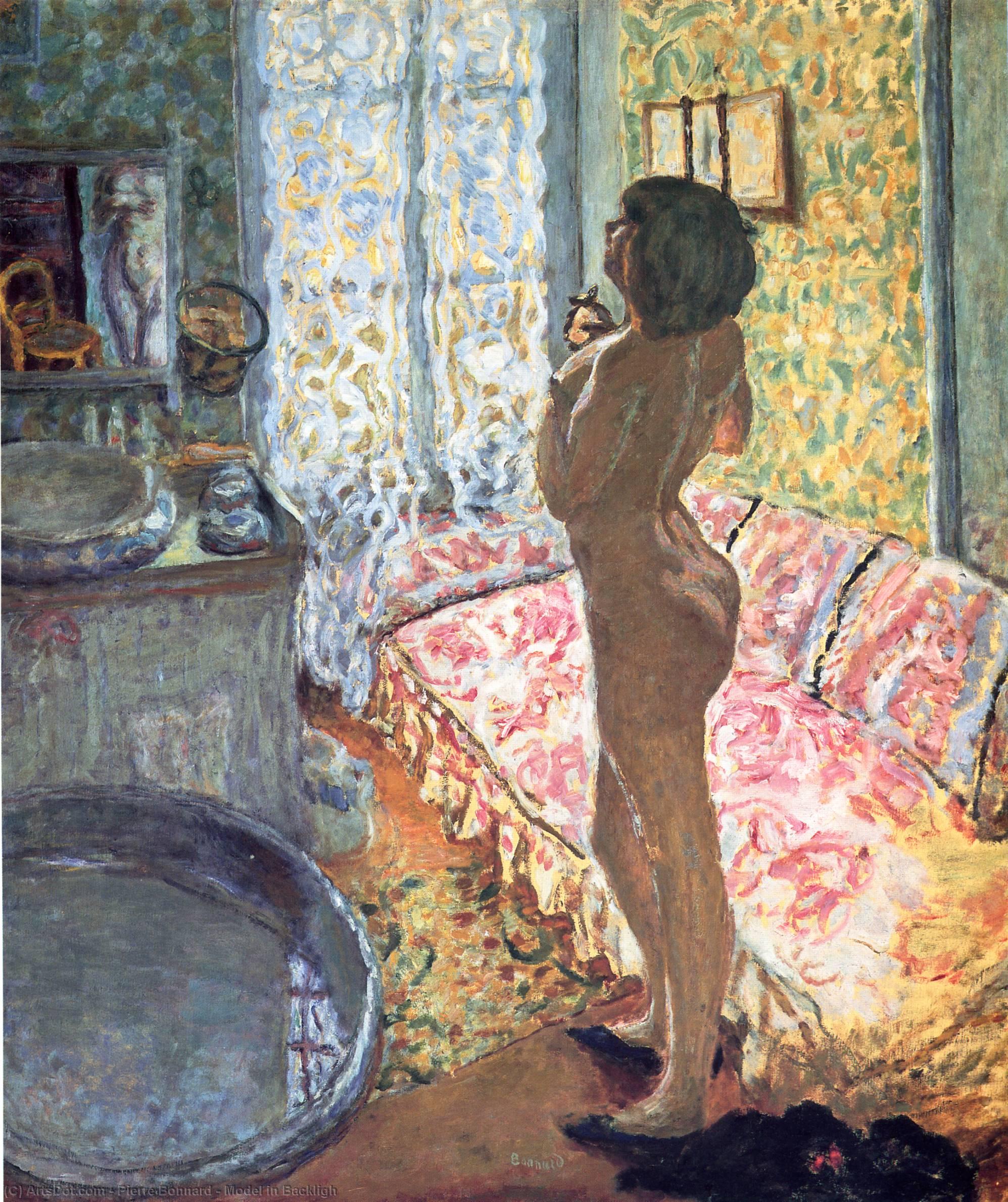 Model In Backligh — Pierre Bonnard