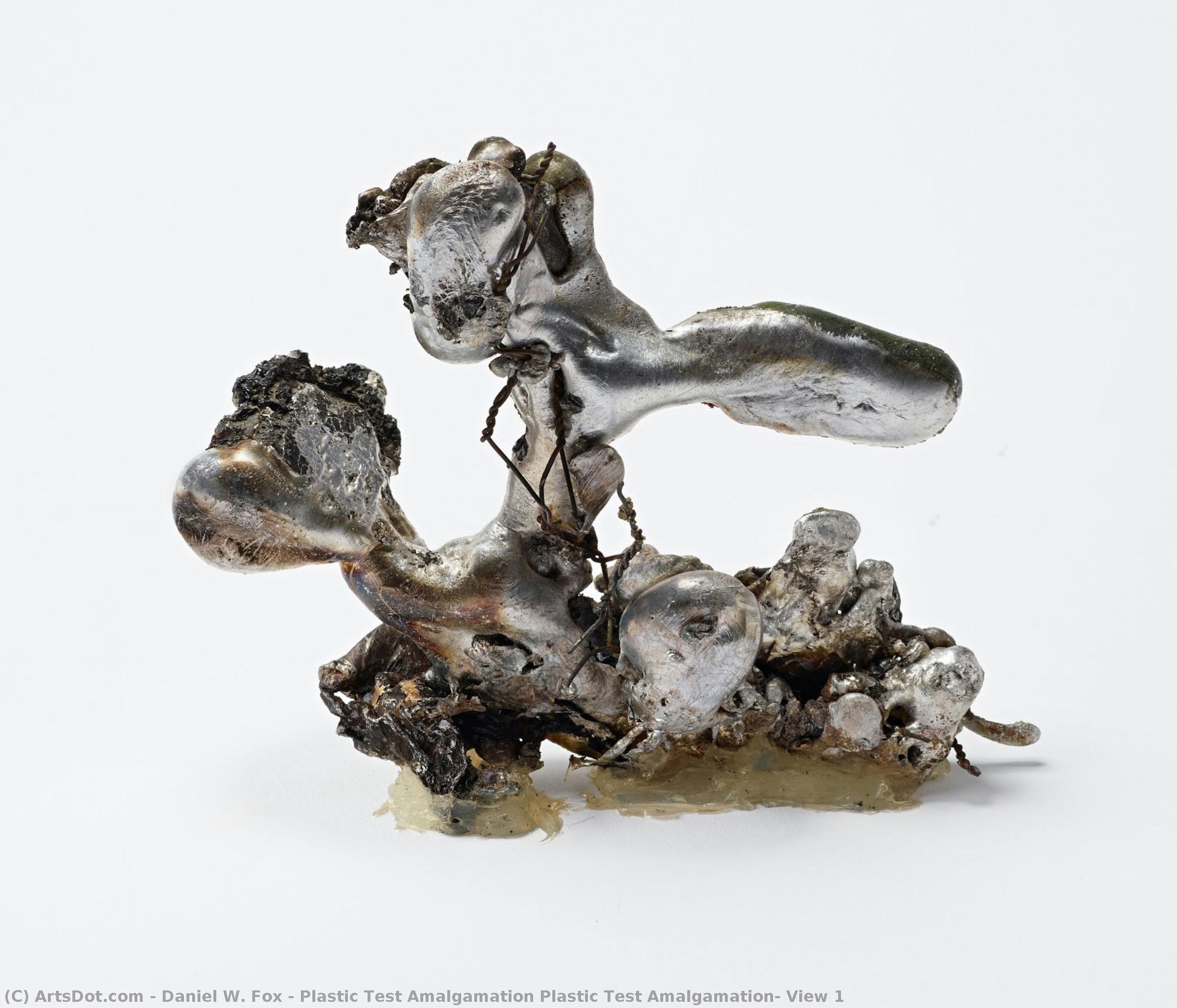 Plastic Test Amalgamation Plastic Test Amalgamation, View 1 — Daniel W. Fox
