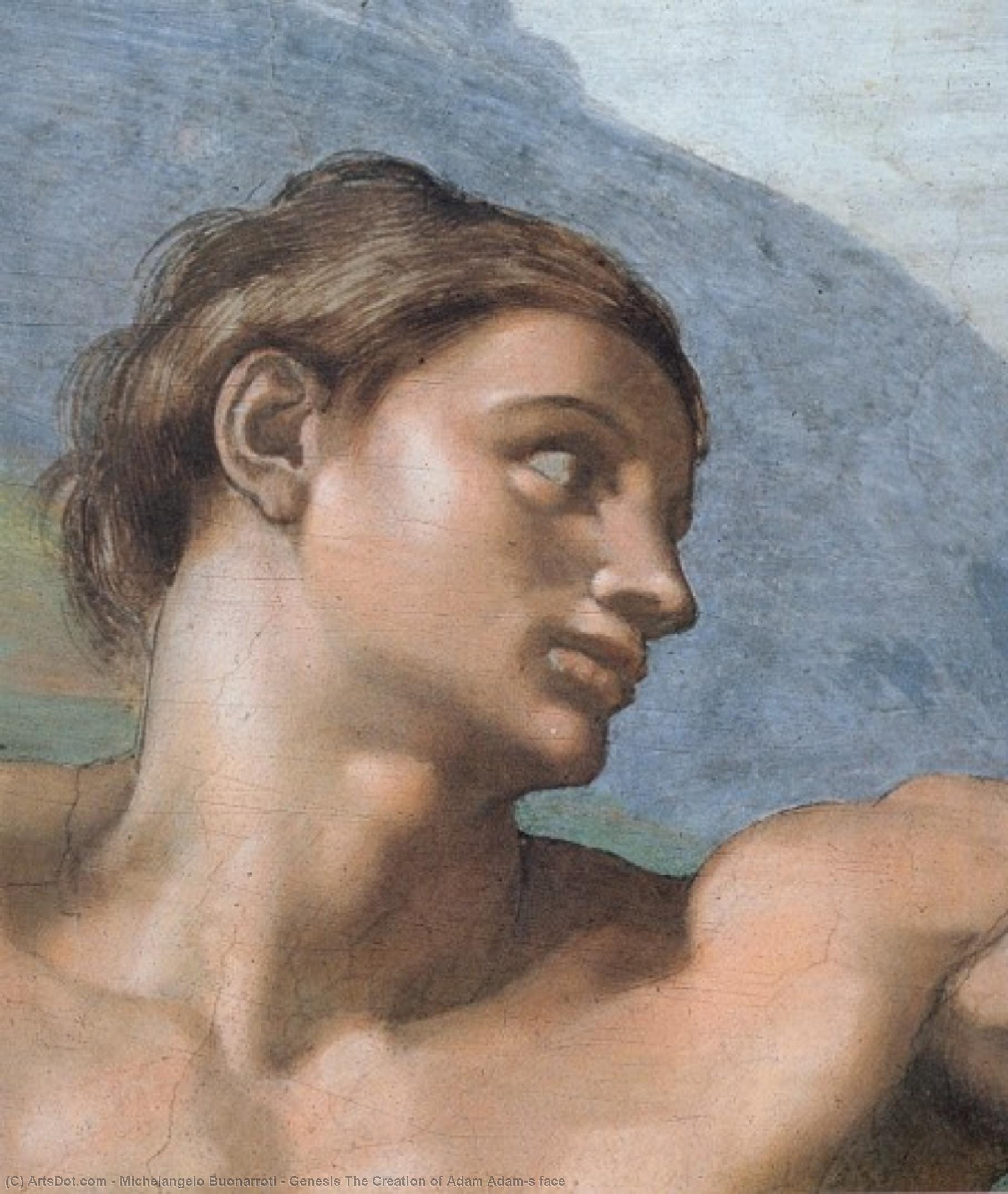 Genesis The Creation Of Adam Adam-s Face — Michelangelo Buonarroti
