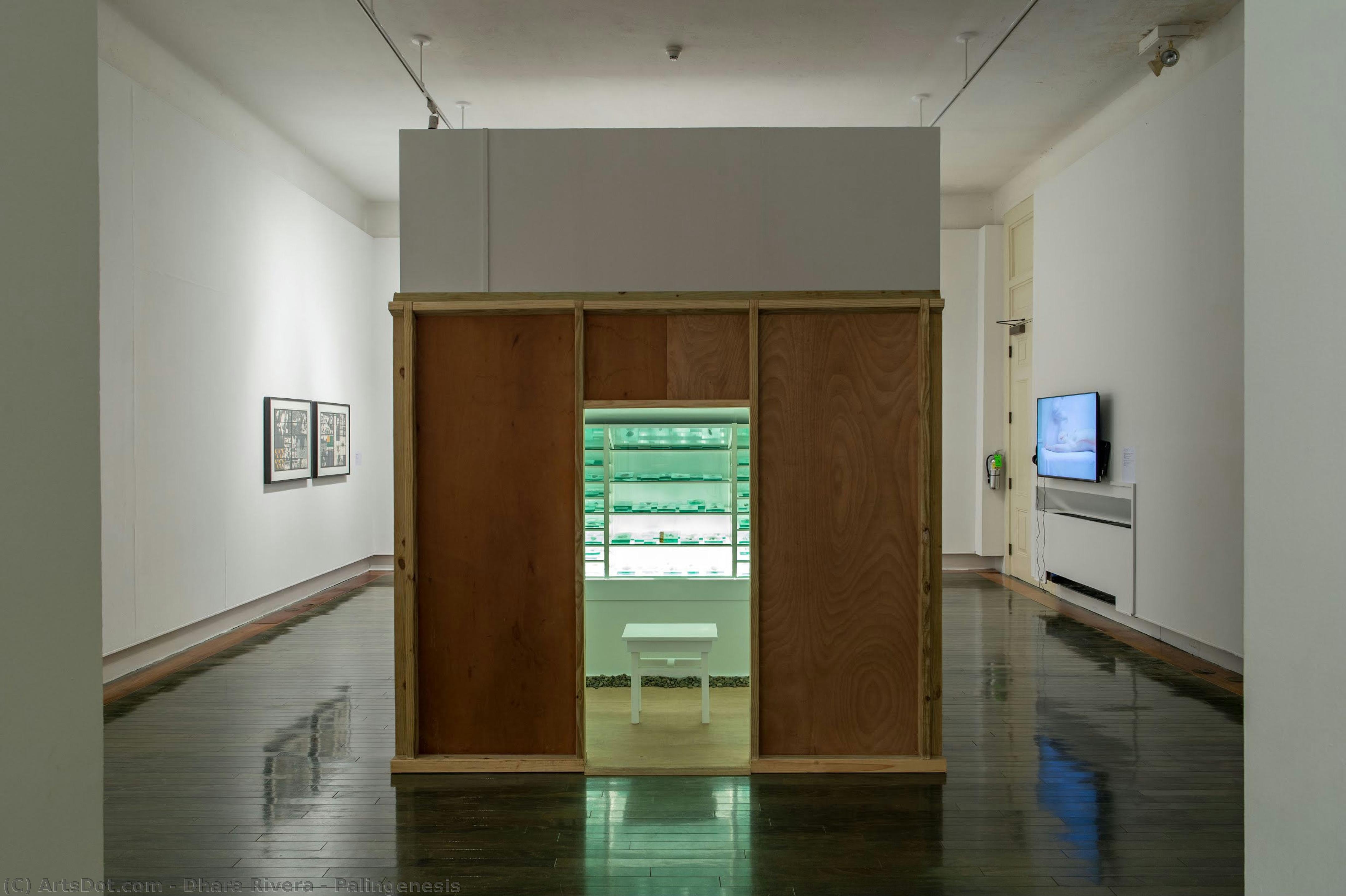 Palingenesis — Dhara Rivera