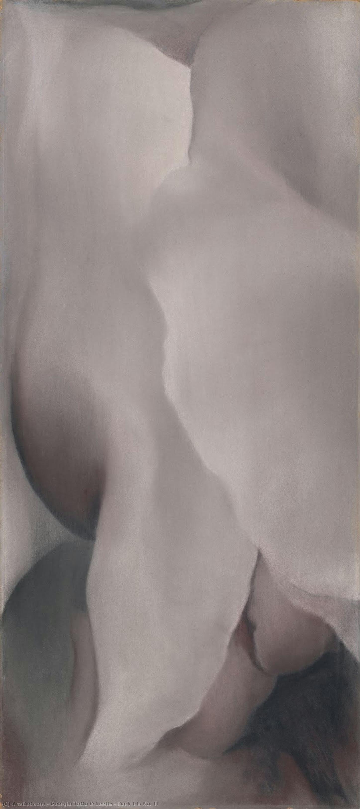 Georgia O'Keeffe - Dark Iris No. III