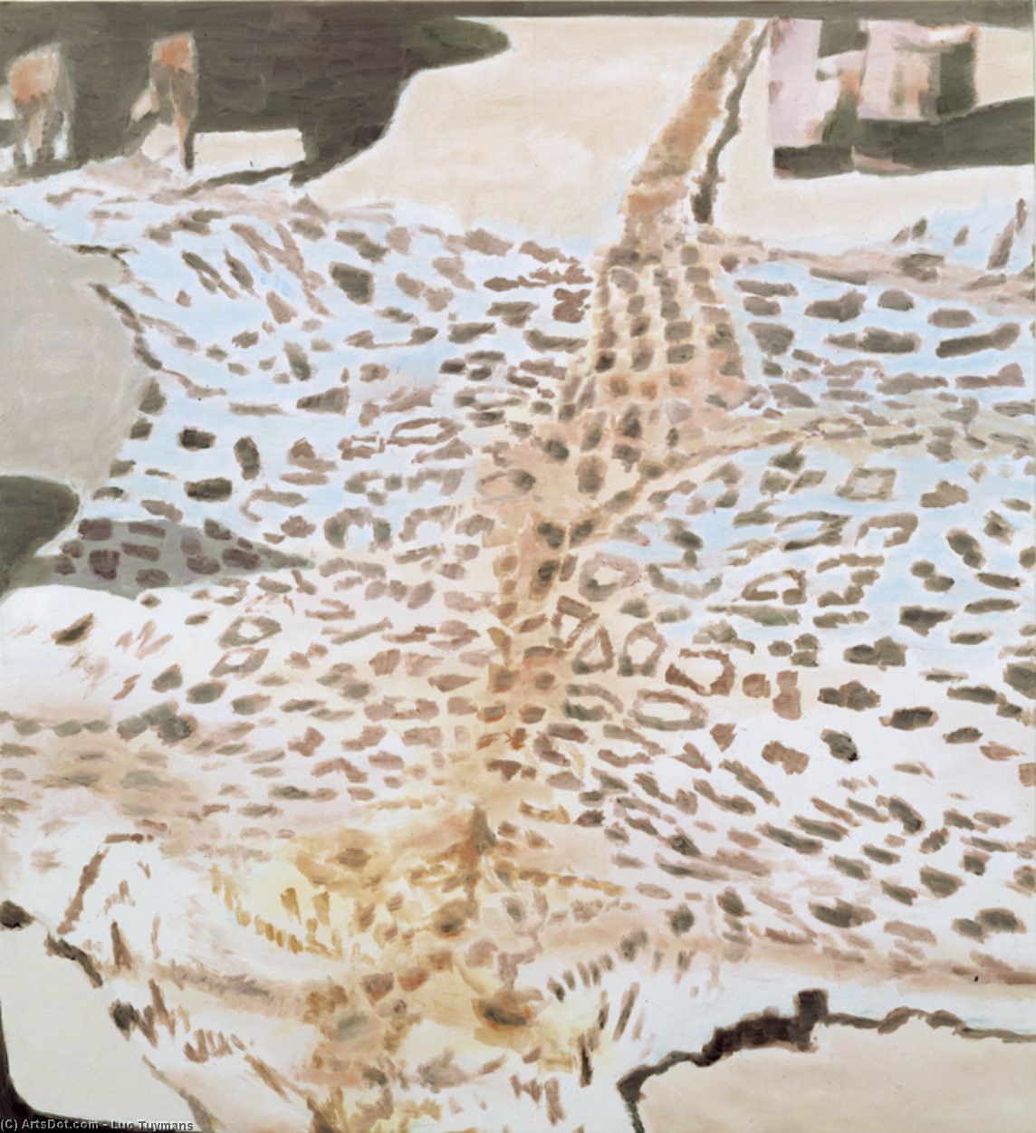 Leopard — لوك تويمانس