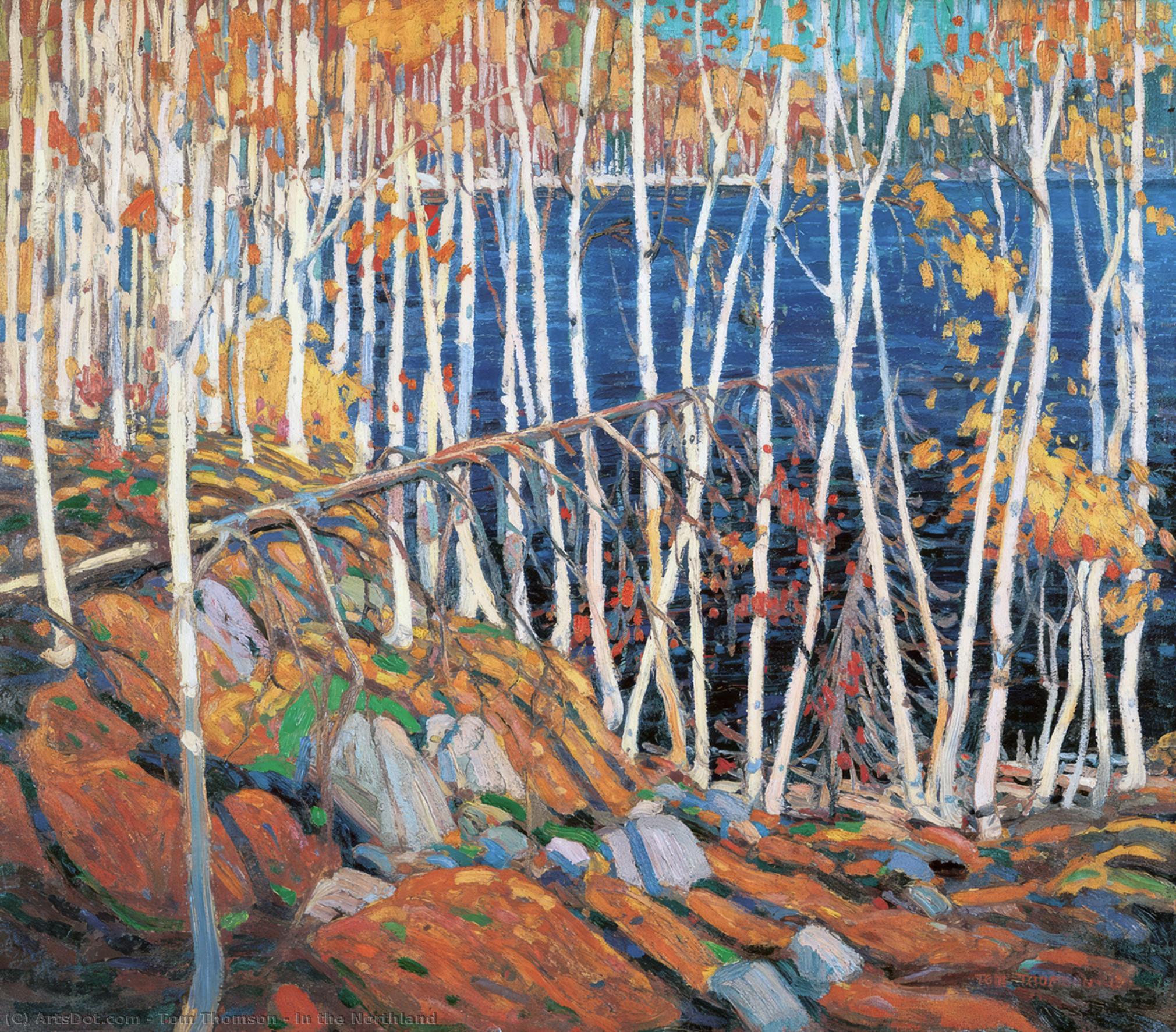 Nelle Terre Del Nord — Tom Thomson