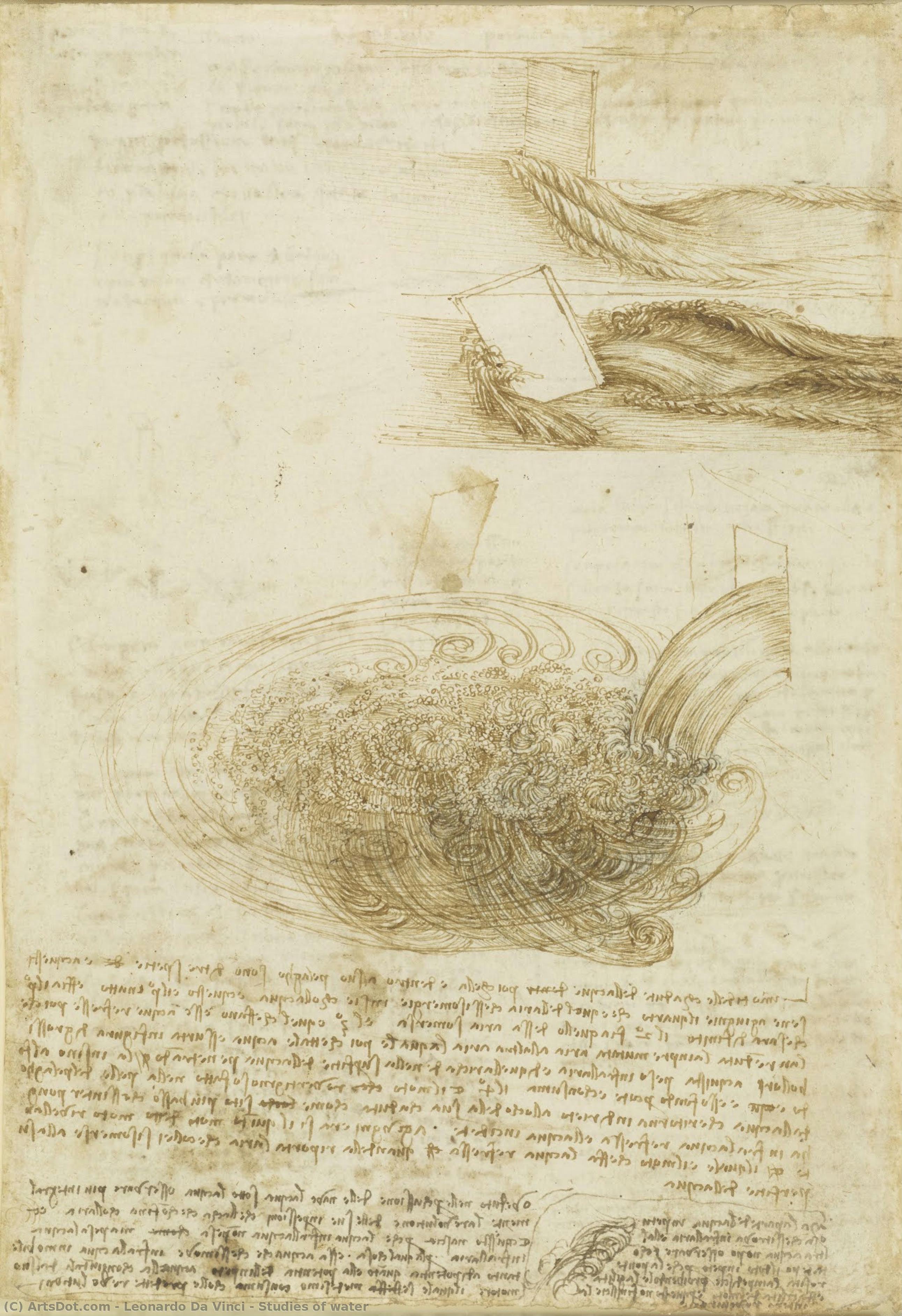 Léonard de Vinci - Études de l'eau