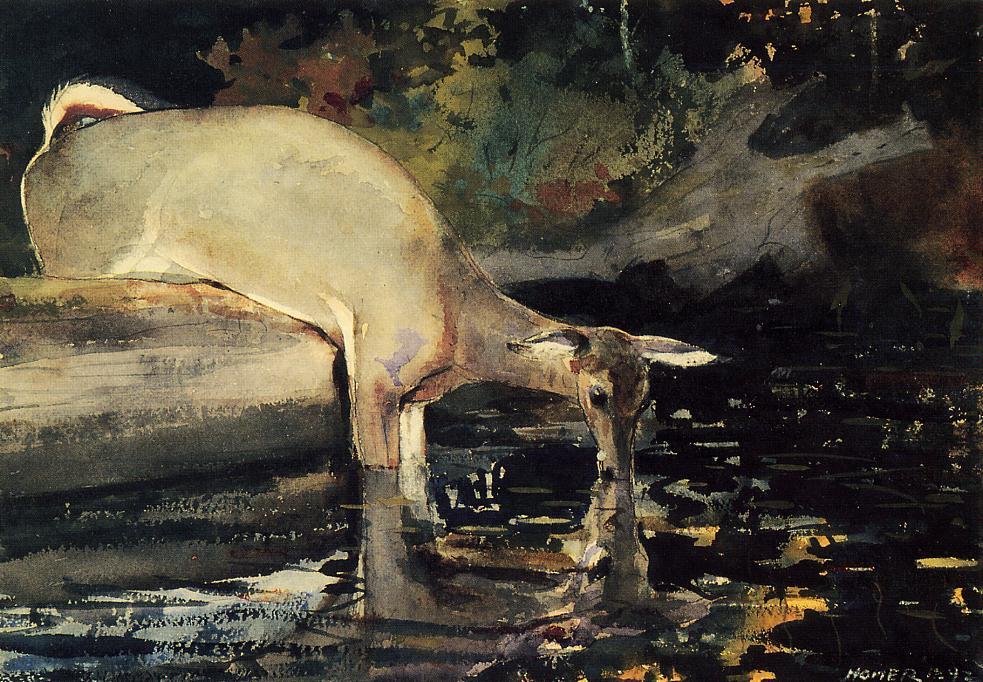 Winslow Homer - Deer Drinking