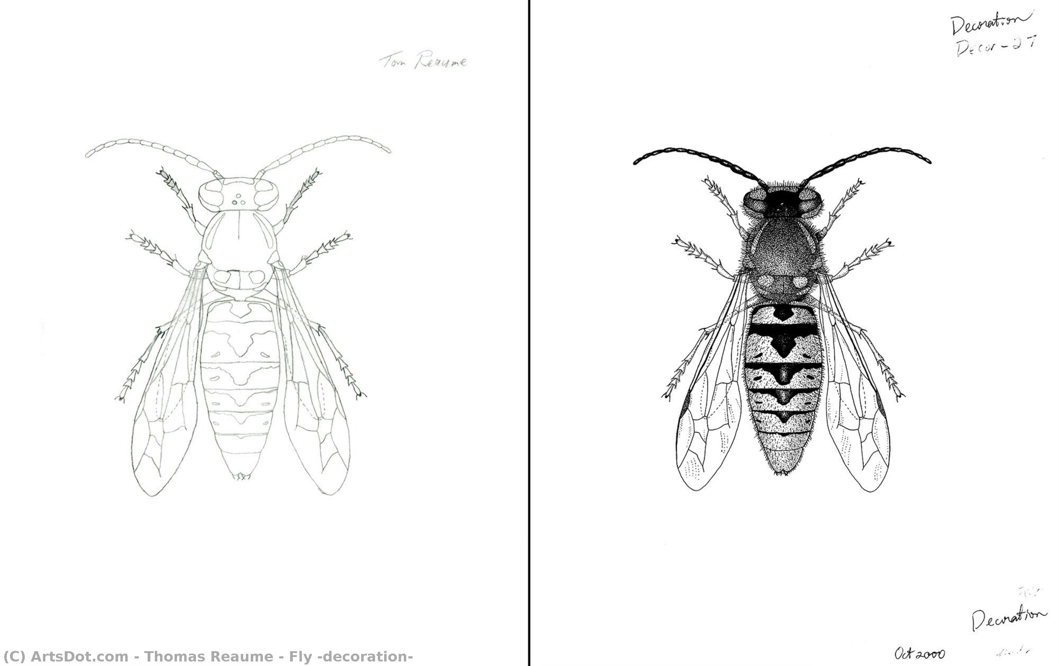 Fly (decoration) — Thomas Reaume