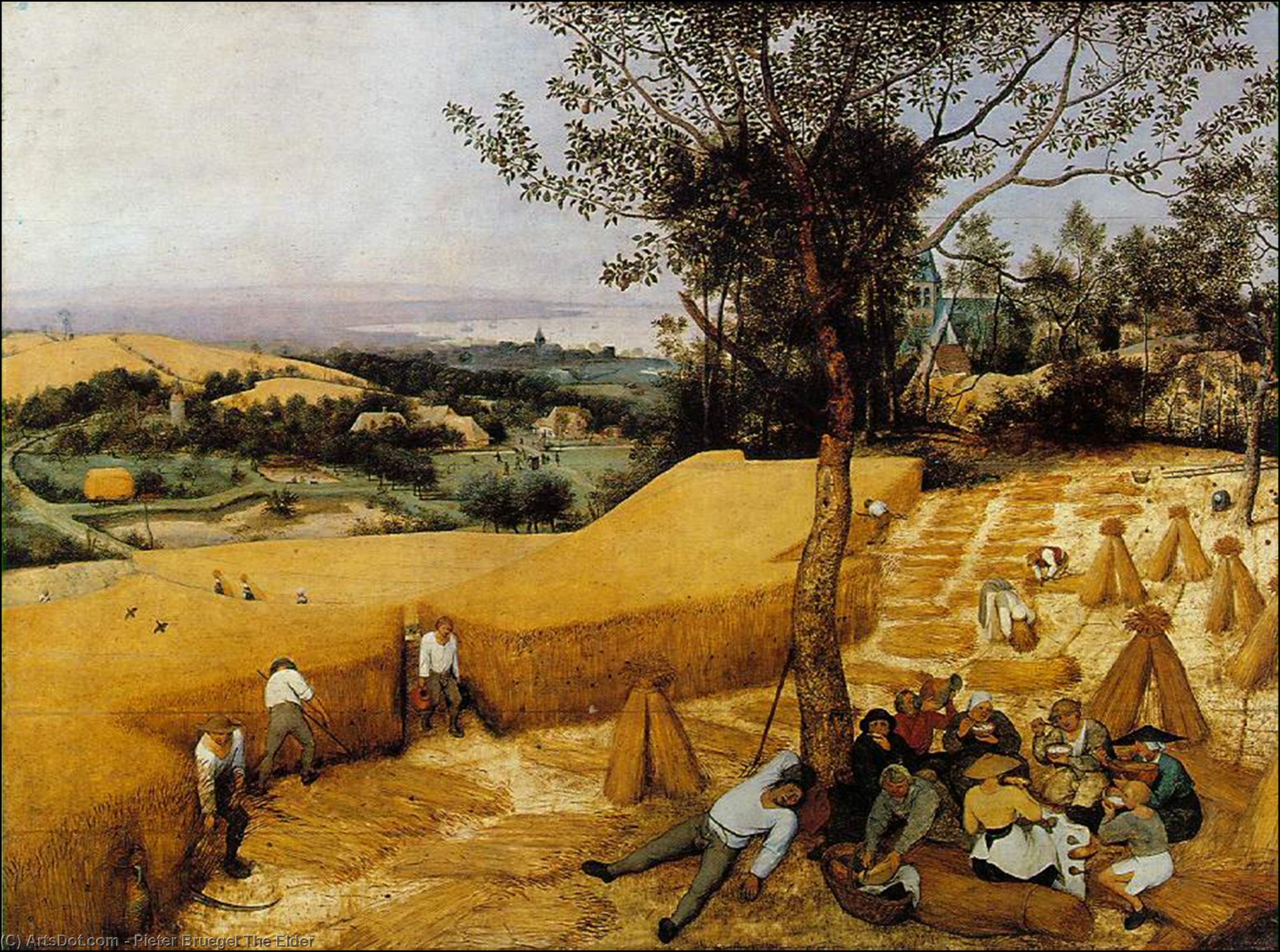 Pieter Bruegel Stariji - Žetva