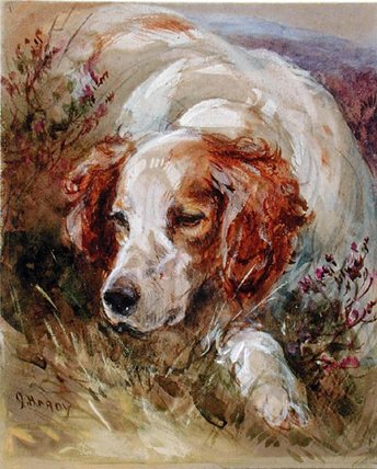 A Spaniel — James Hardy Junior