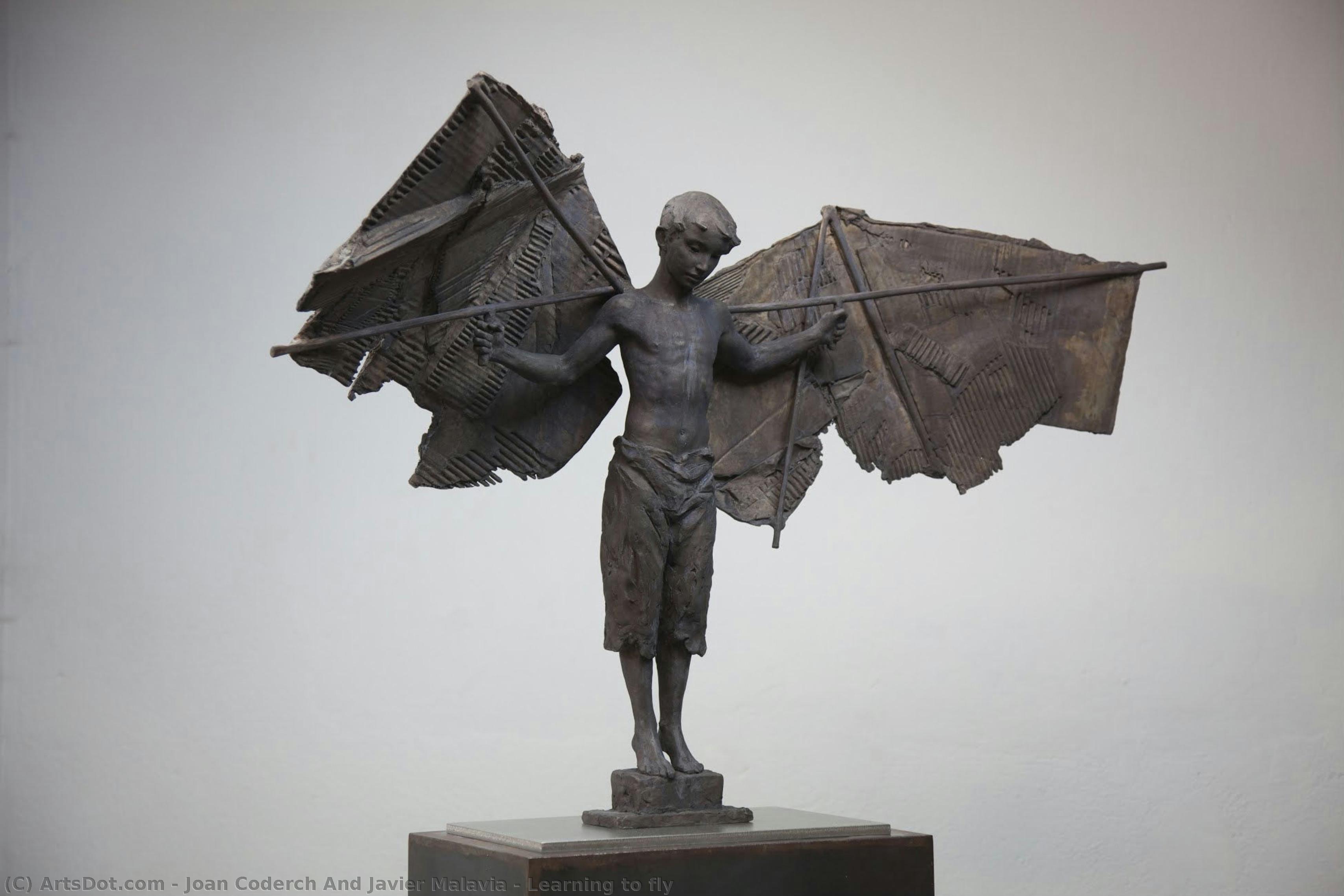 Learning To Fly — Joan Coderch Y Javier Malavia