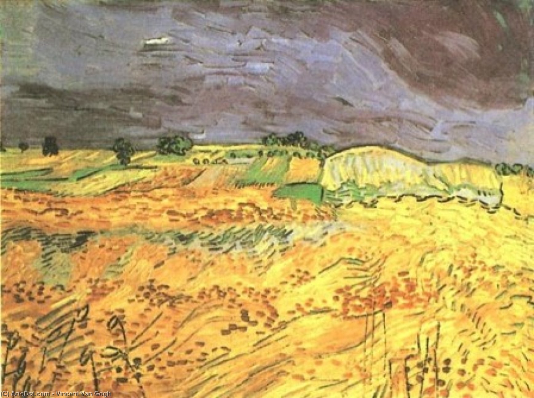 Fields, The — Vincent Willem Van Gogh