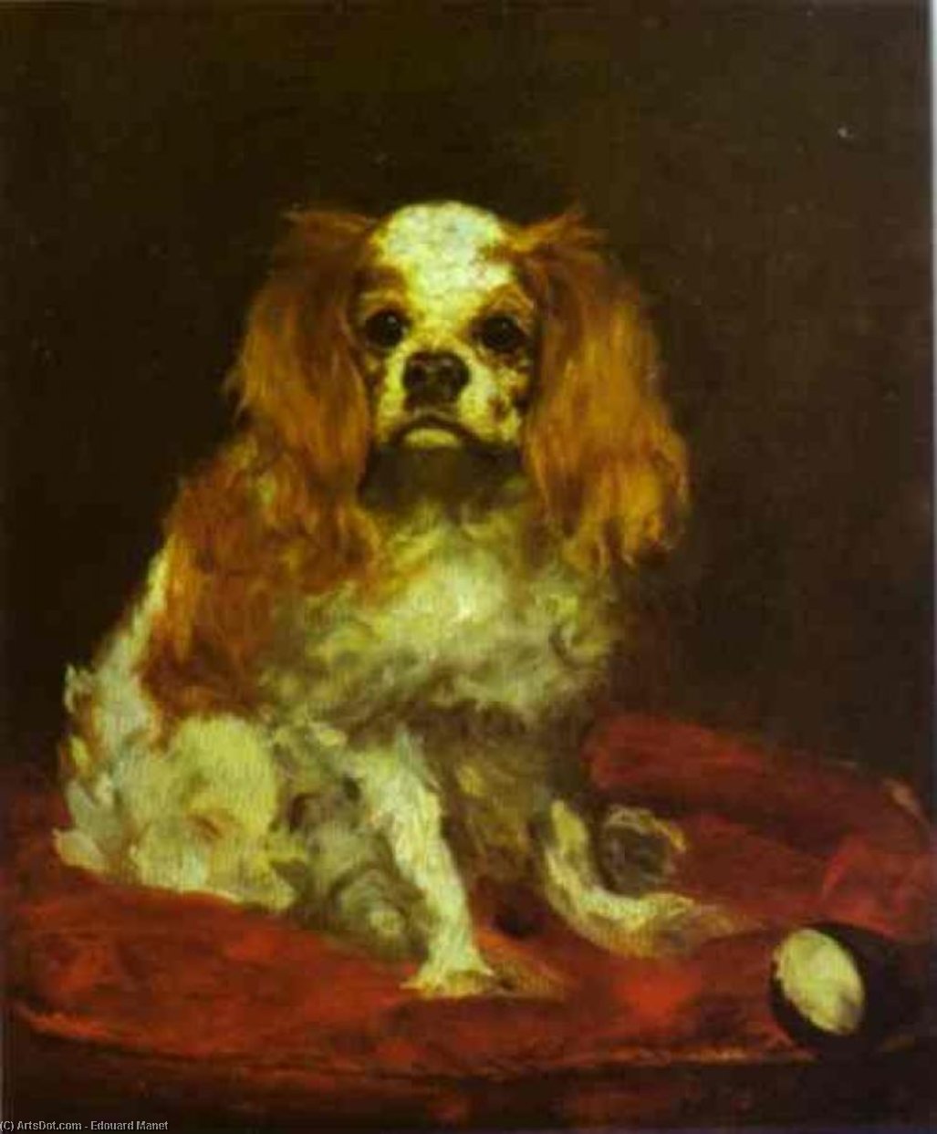 Ein King Charles Spaniel — Édouard Manet