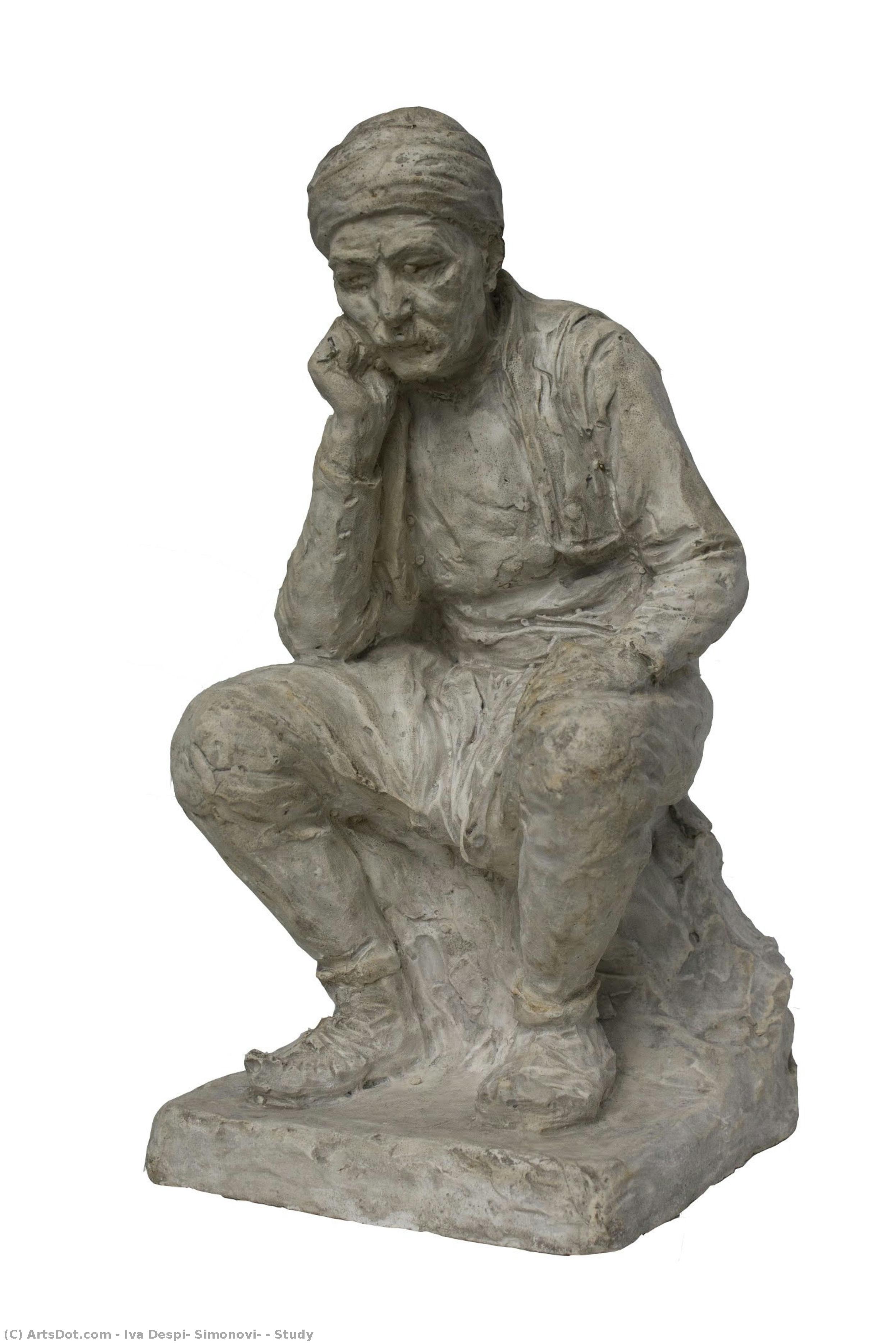 Study — Iva Despić Simonović