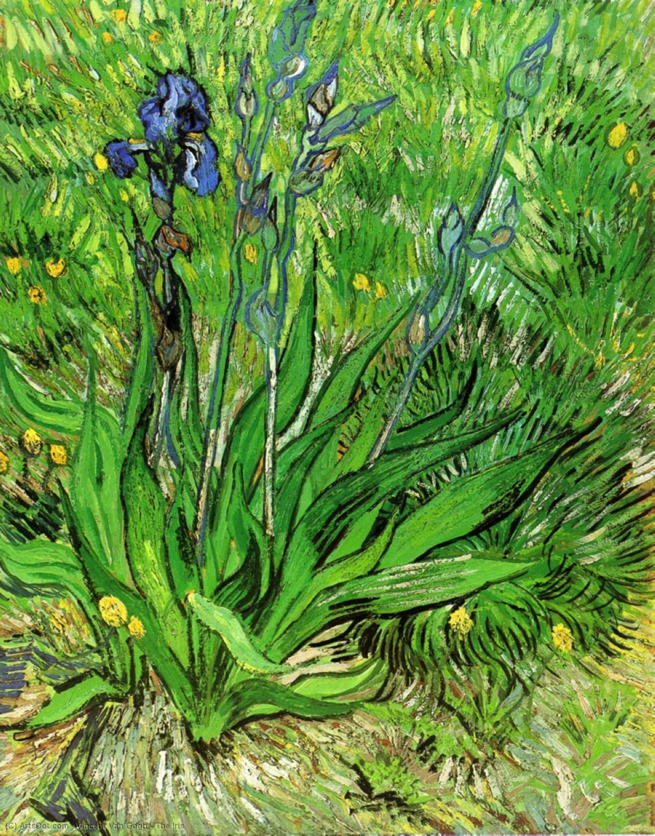 vincent willem van gogh - Gli Iris