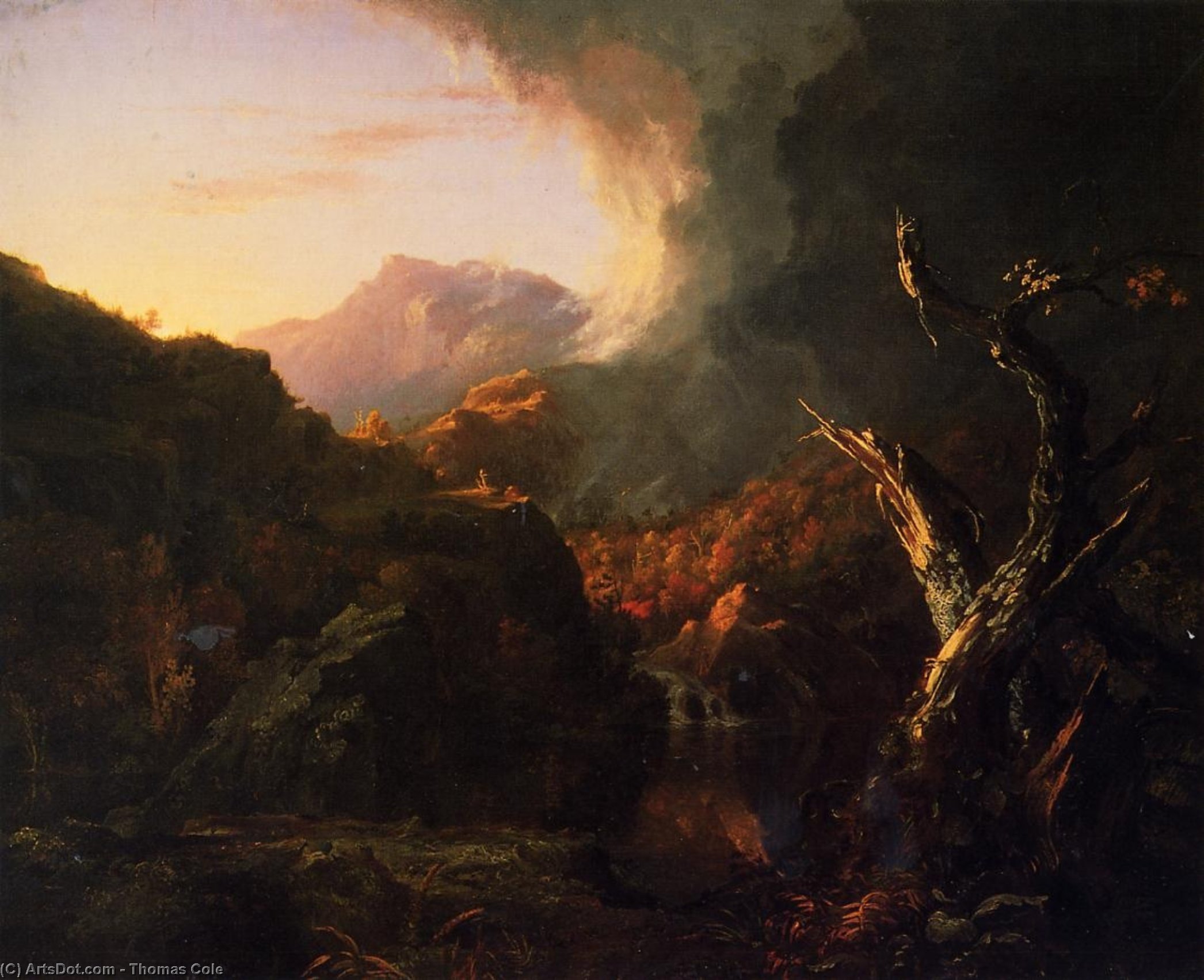Landscape With Dead Trees — Tomáš Cole