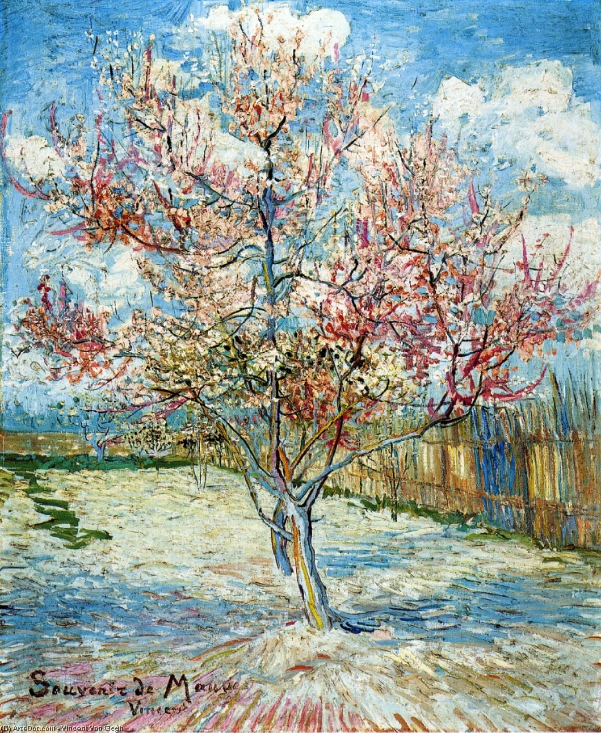 vincent willem van gogh - Pektre i blomstring