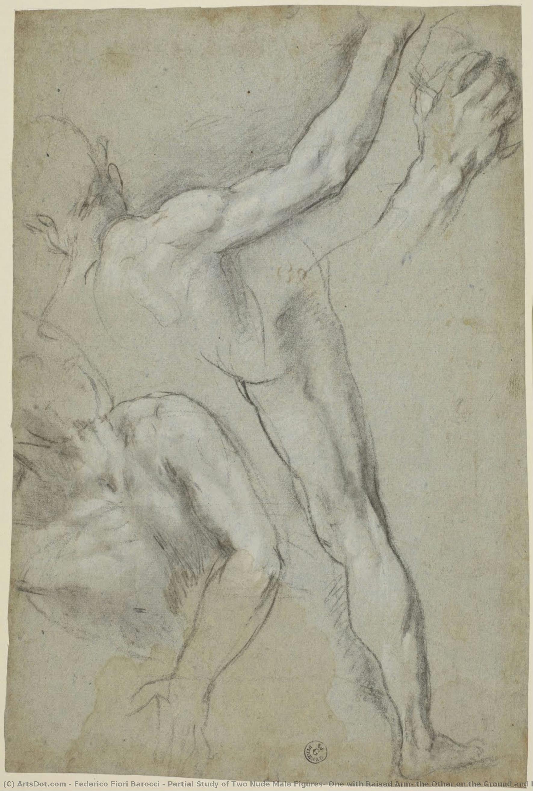 Estudio Parcial De Dos Figuras Masculinas Desnudas, Una Con El Brazo Levantado, La Otra En El Suelo Y Estudios De Pierna Y Brazo De La Primera (para “martirio De San Vital”, Milán, Pinacoteca Di Brera) — Federico Fiori Barocci