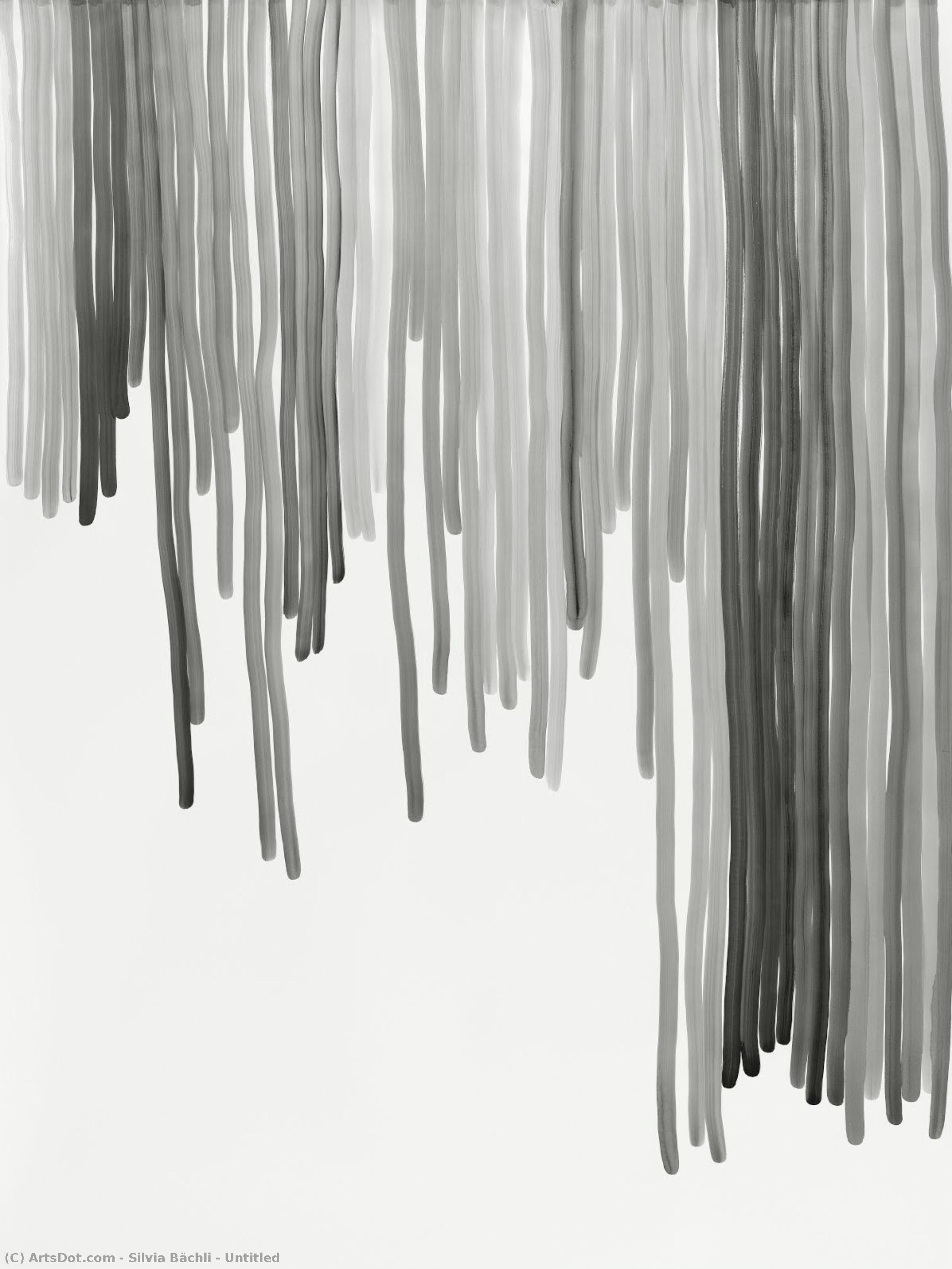 Untitled — Silvia Bächli