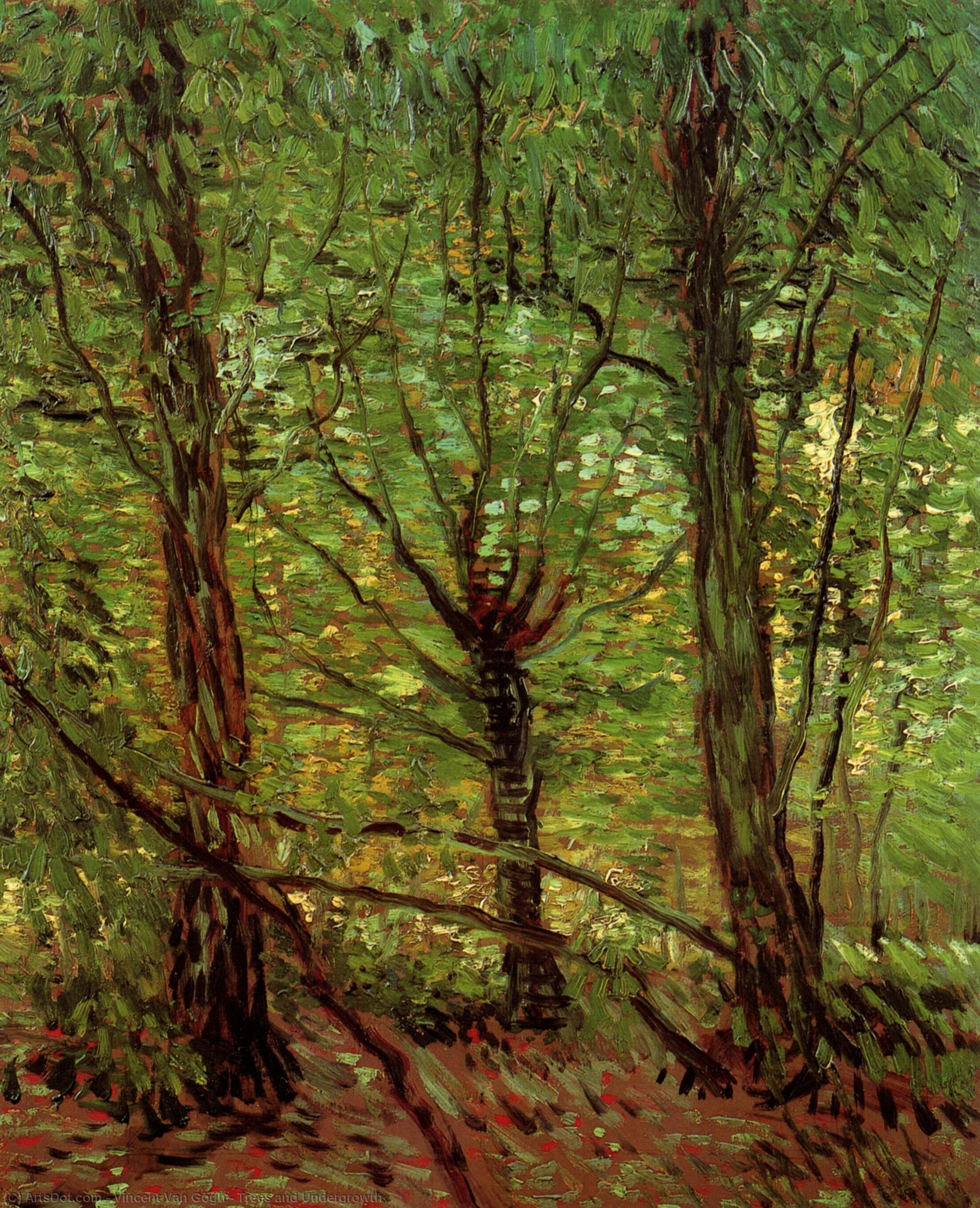 vincent willem van gogh - Träd och Buske