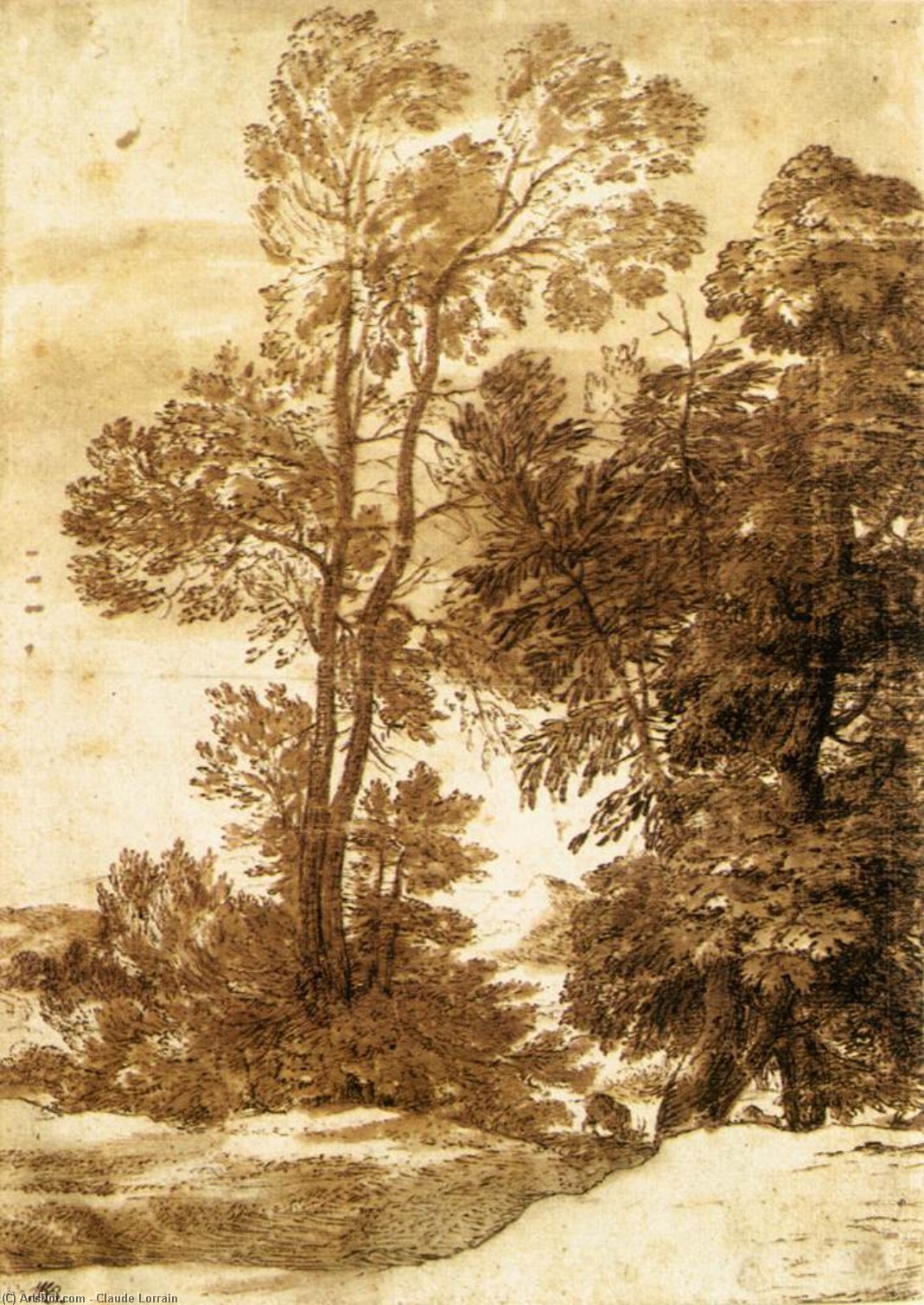 Trees — Claude Lorrain (claude Gellée)