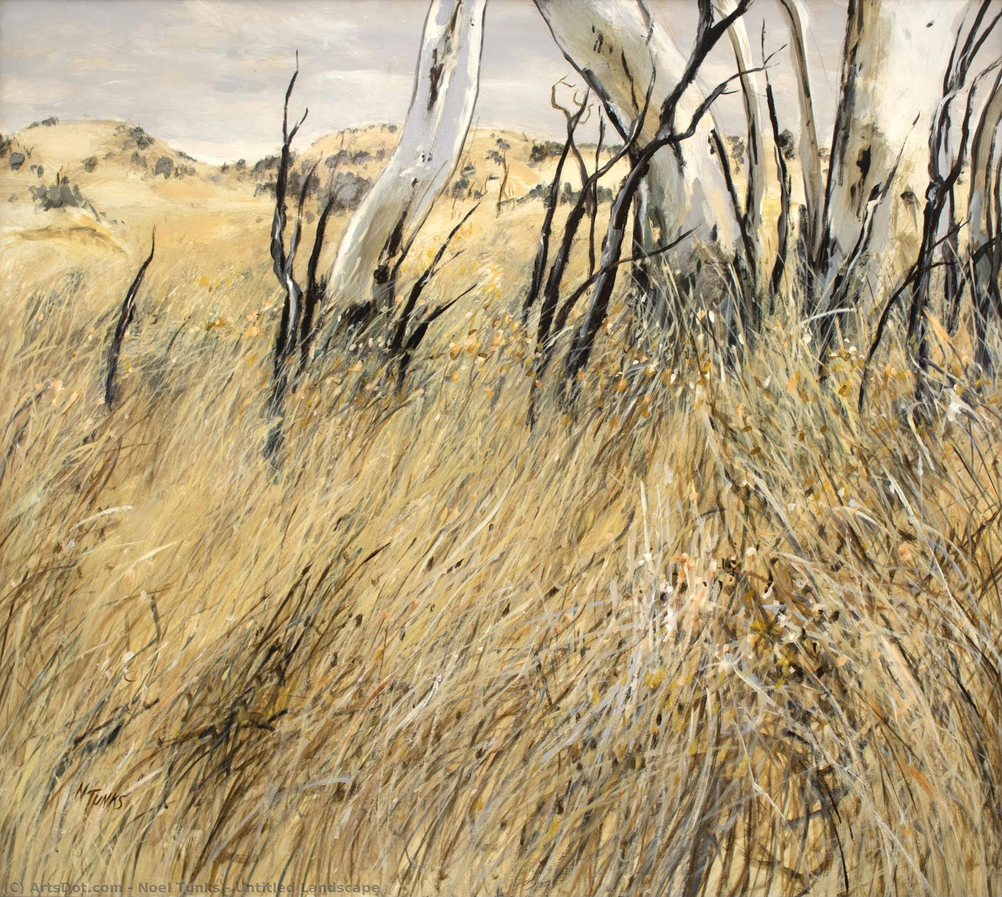 Untitled Landscape — Noel Tunks