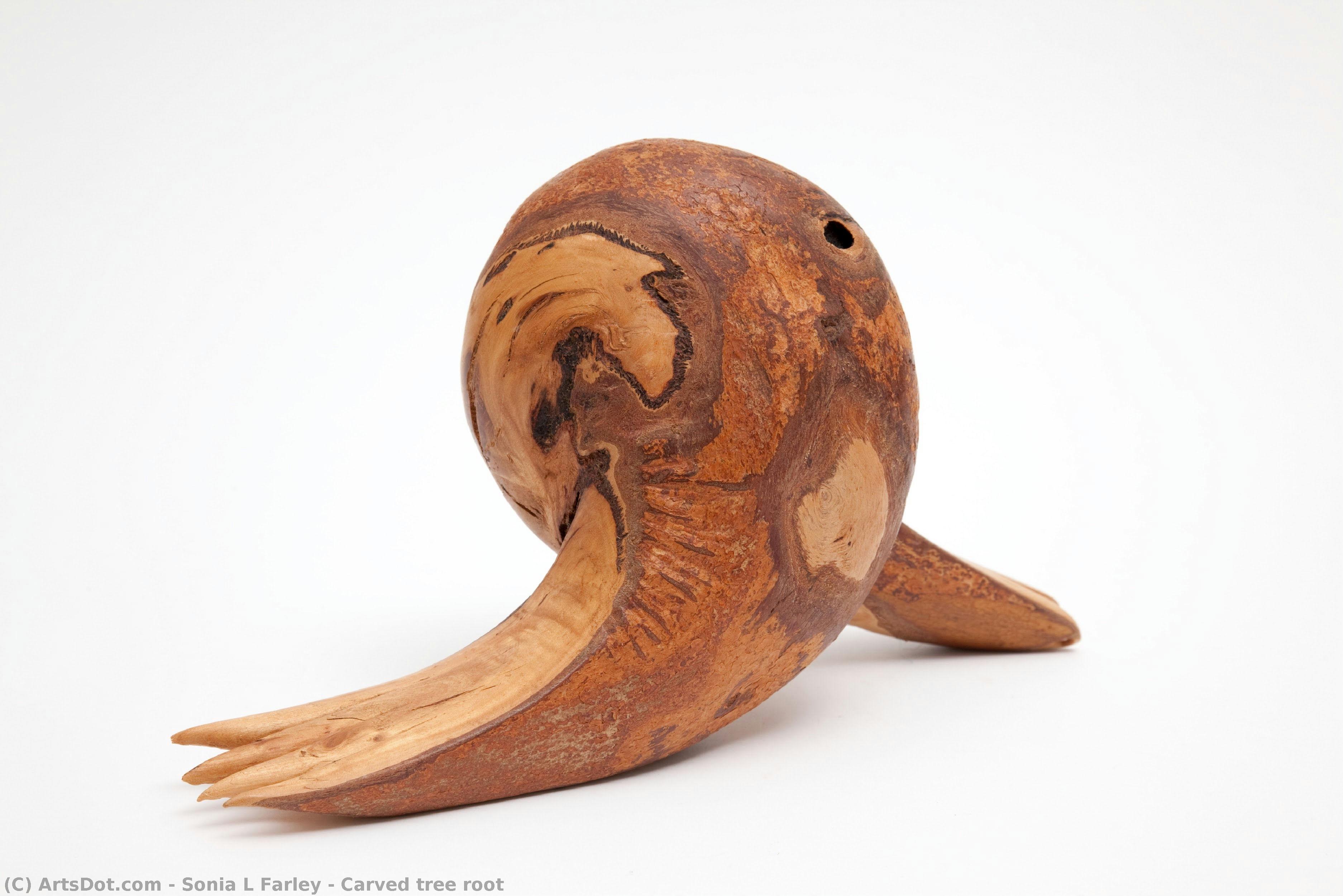 Carved Tree Root — Sonia L. Farley