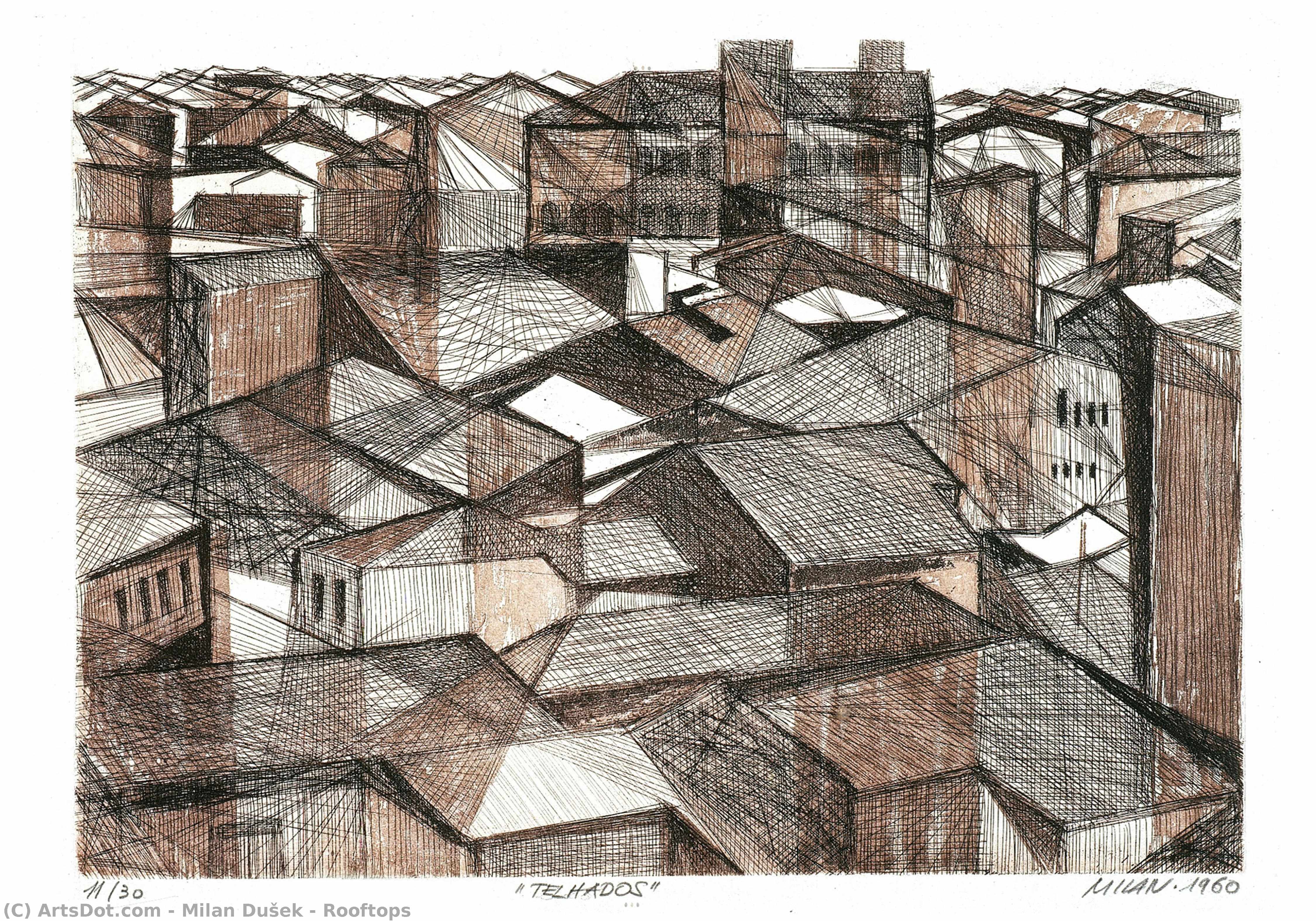 Rooftops — Milan Dušek