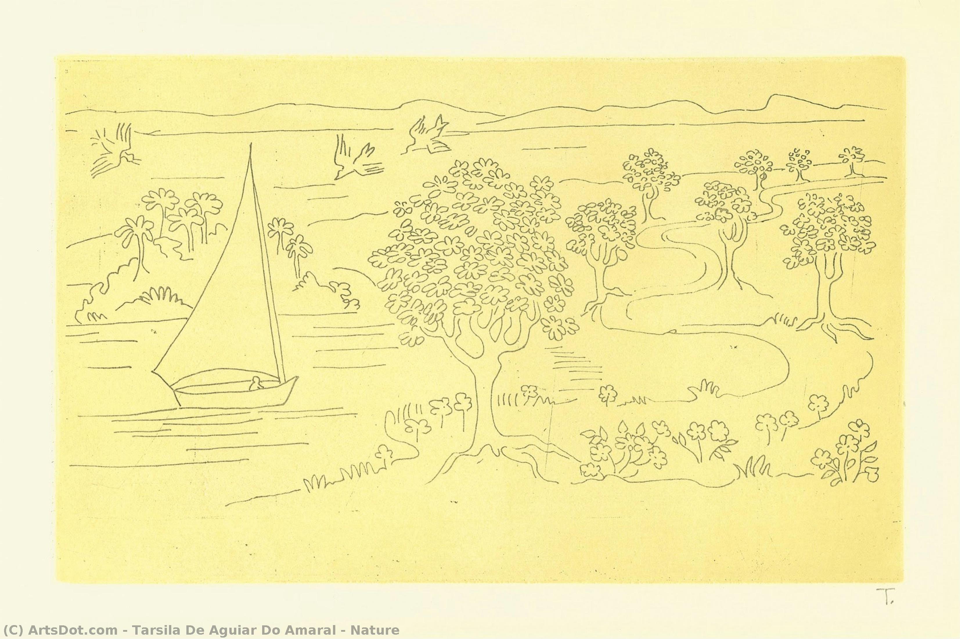 Nature — Tarsila Do Amaral