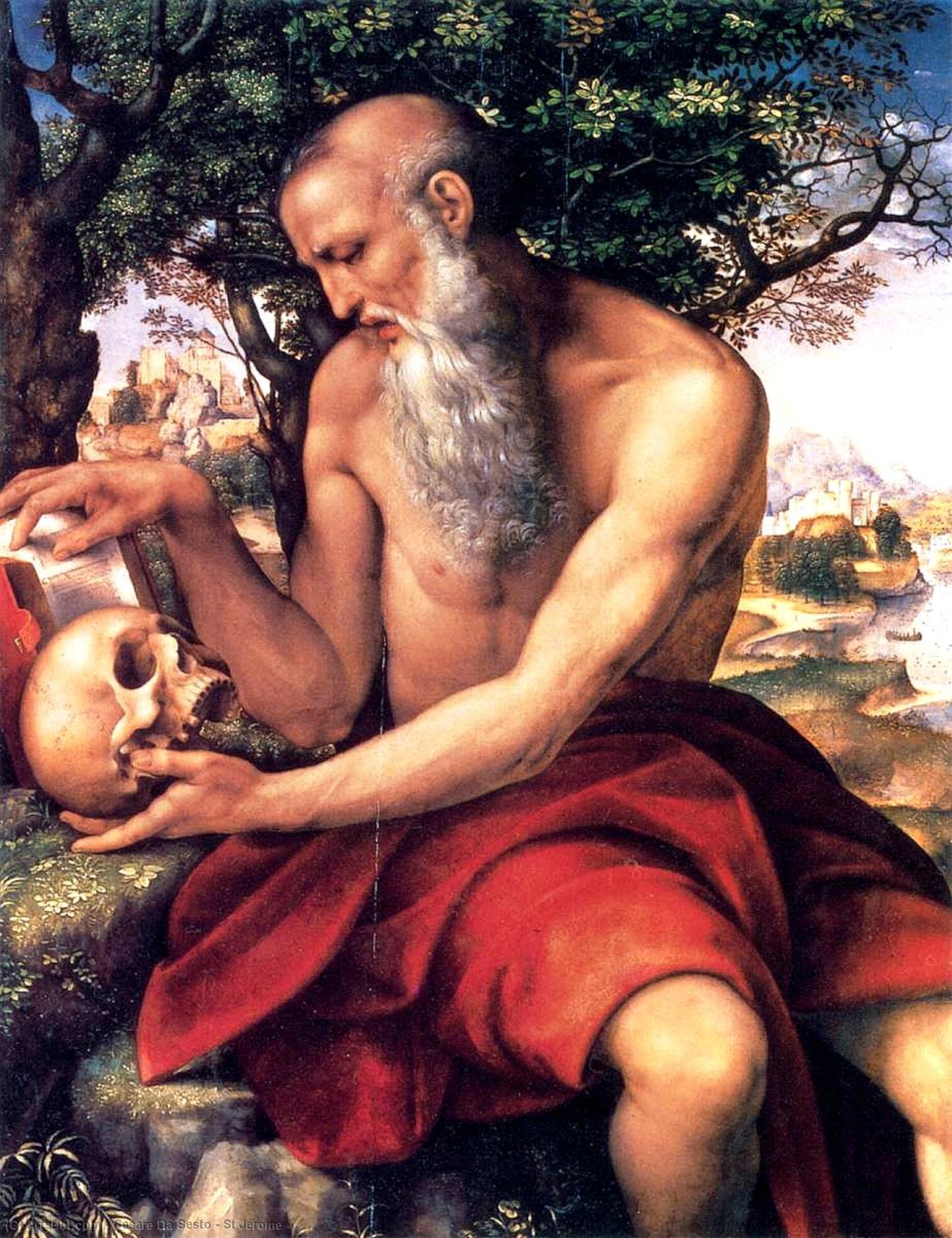 St Jerome — Cesare Da Sesto