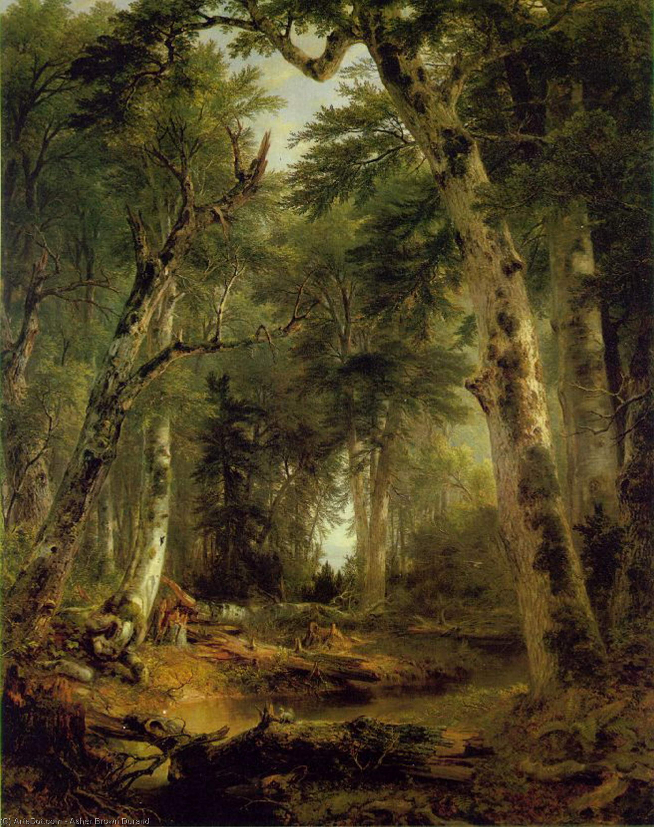 En El Bosque — Asher Brown Durand