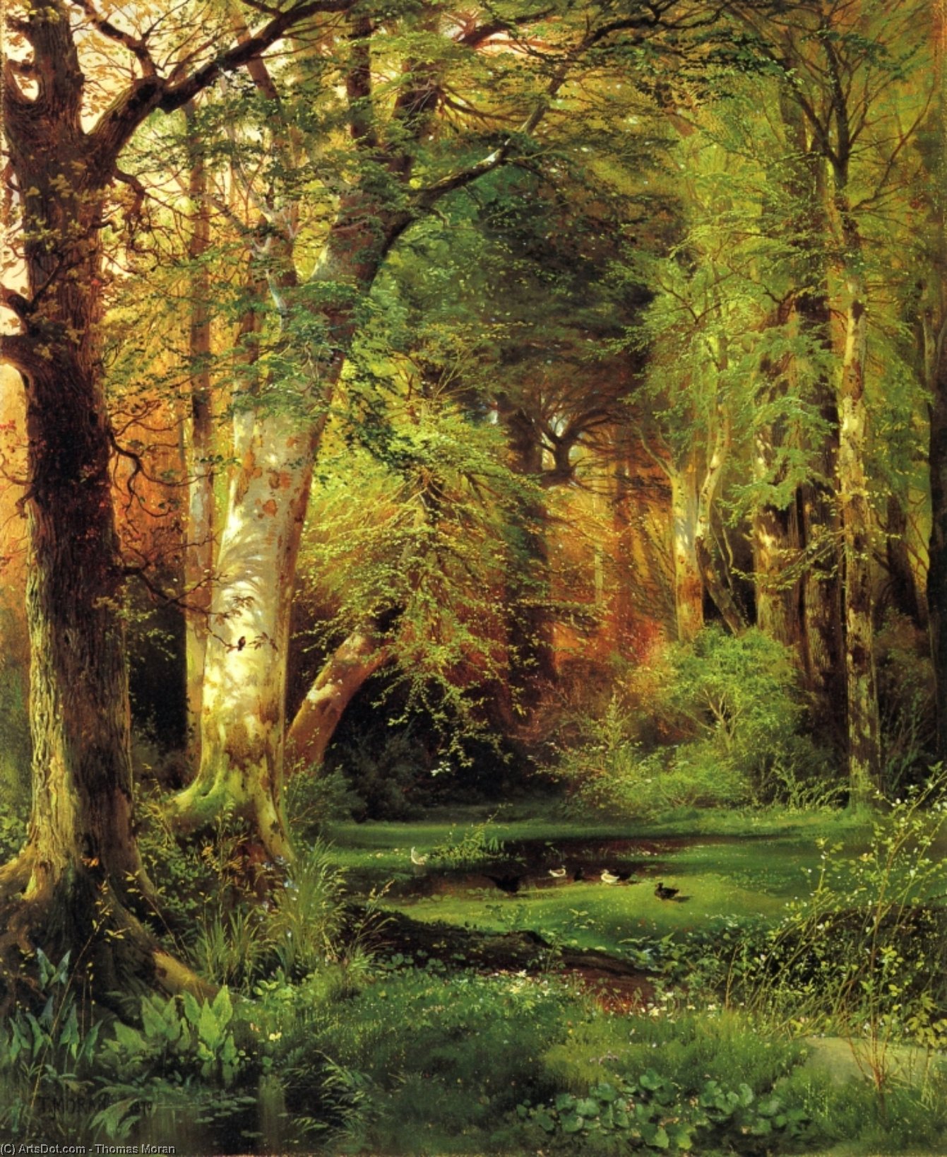 Forest Scene — Thomas Moran