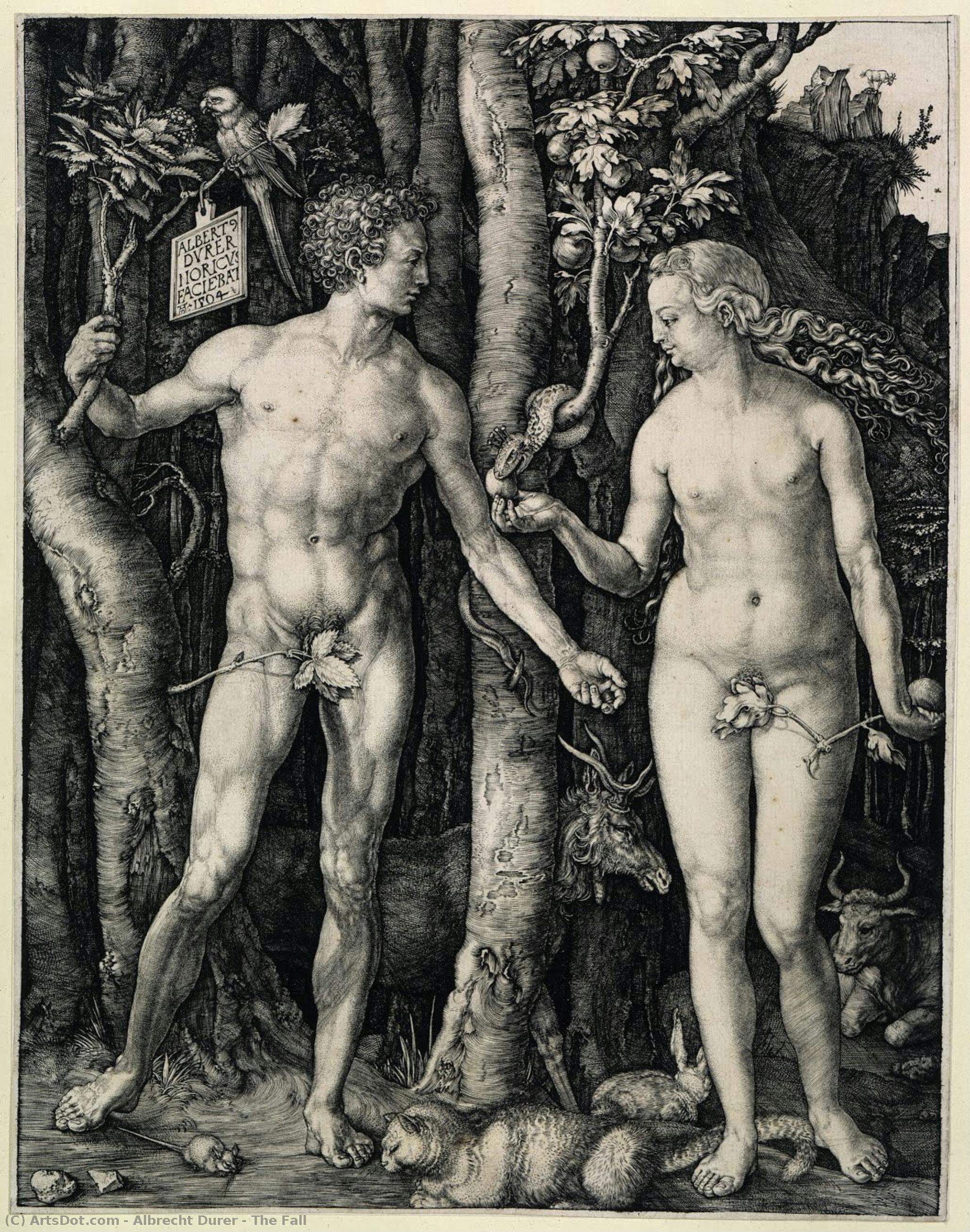 La Caduta — Albrecht Dürer