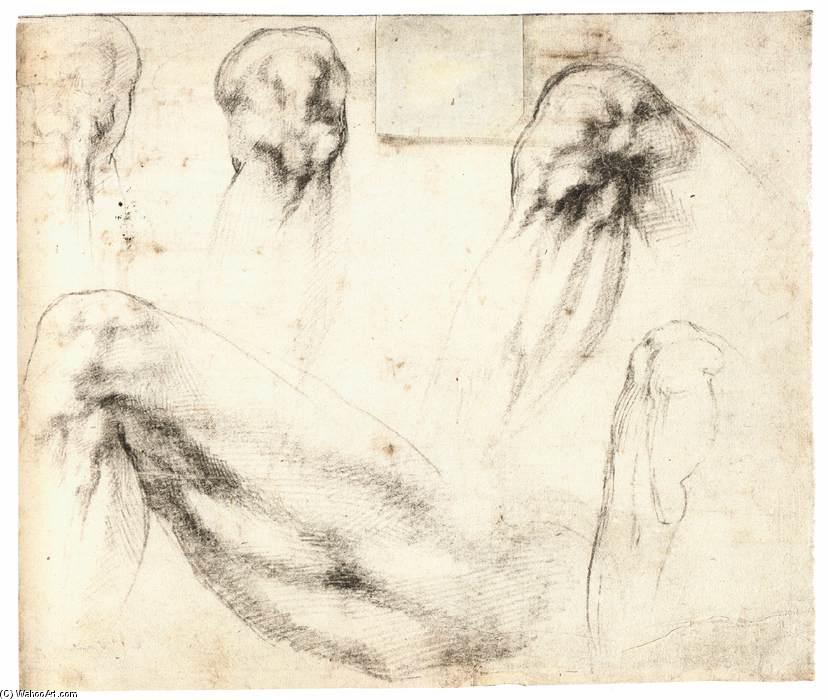 Study Of A Left Leg And Knee (recto) — Michelangelo Buonarroti