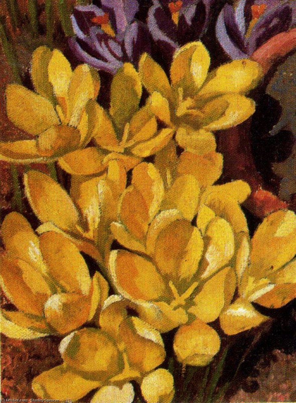 Crocuses — Stanley Spencer