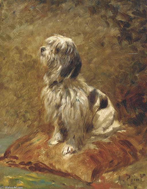 Best Behaviour — Armand Point
