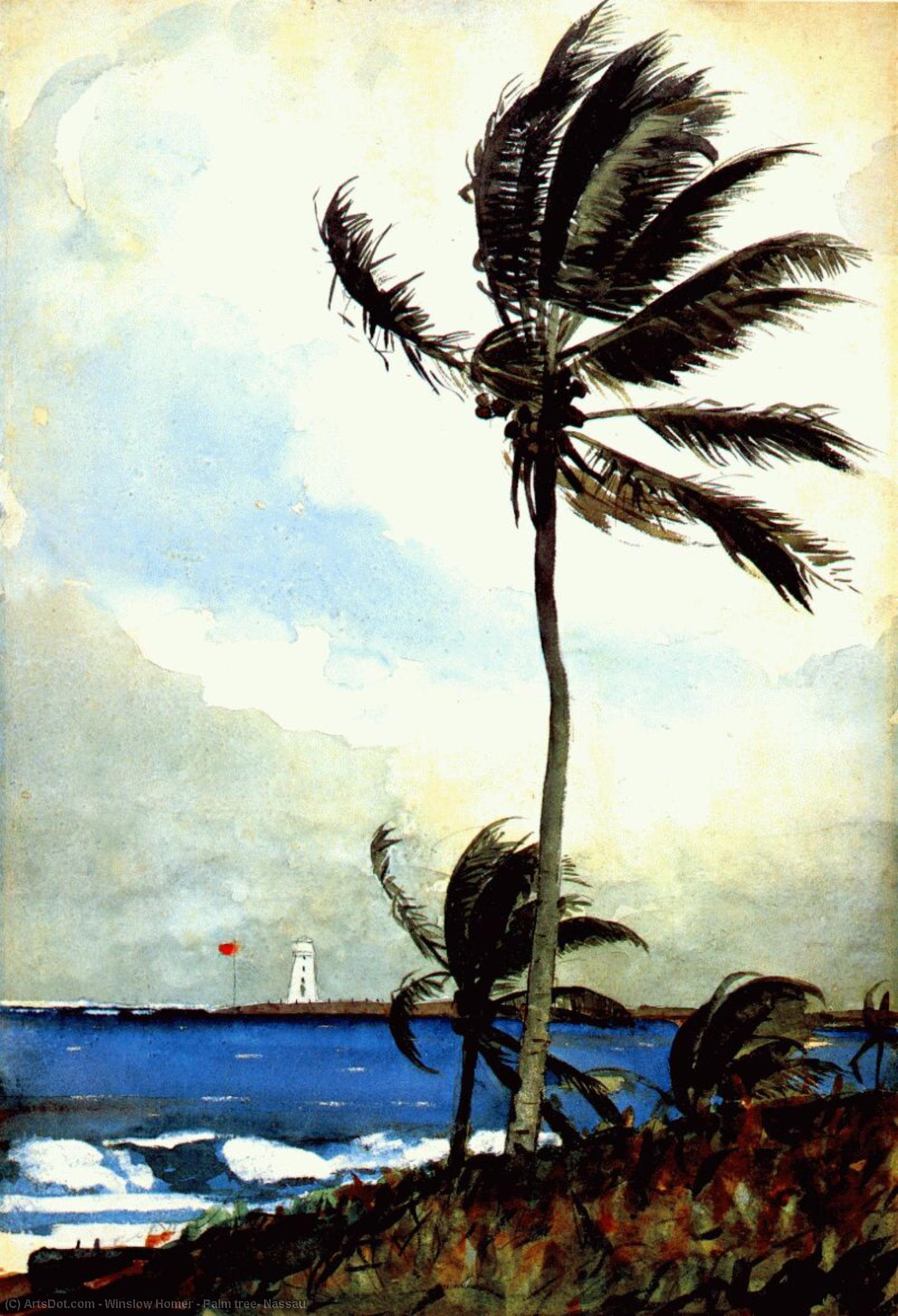 Winslow Homer - Palm tree, Nassau