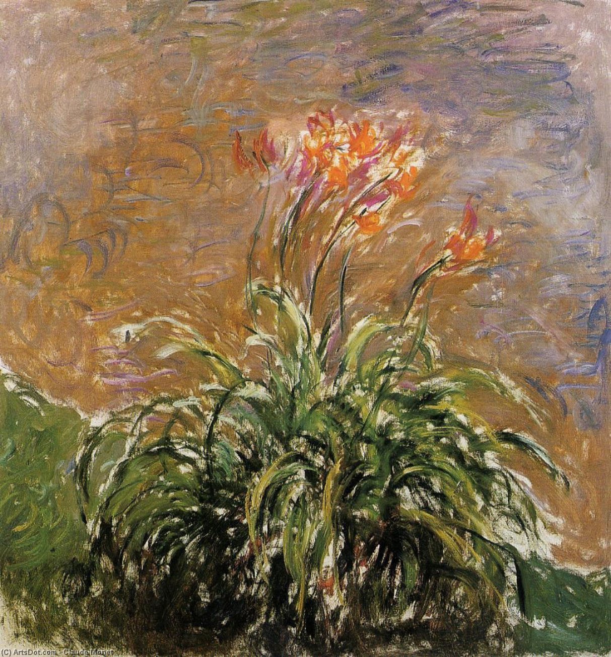 Hamerocallis — Claude Monet