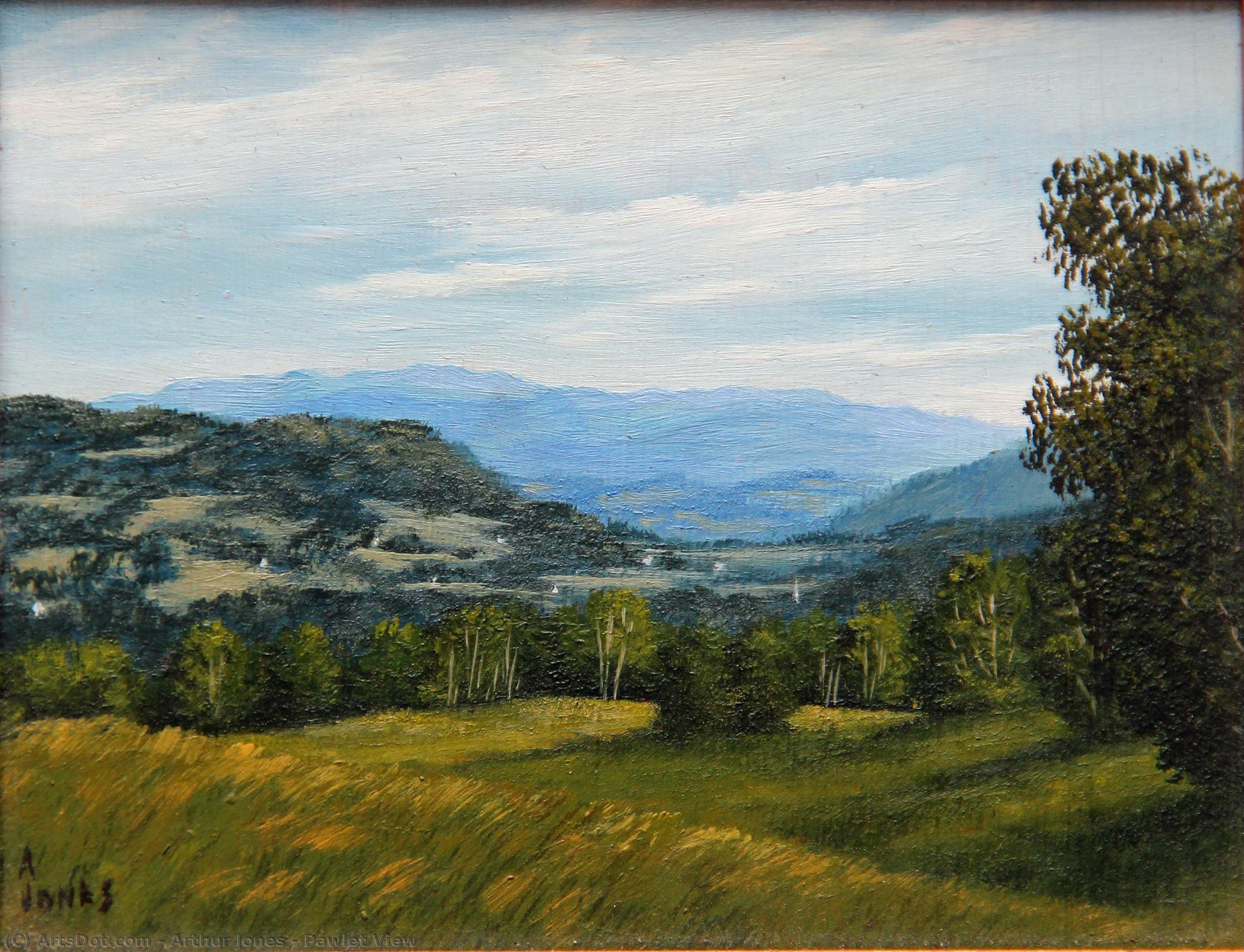 Pawlet View — Arthur Jones