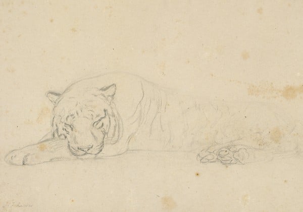 A Sleeping Tiger 1 — John Frederick Lewis