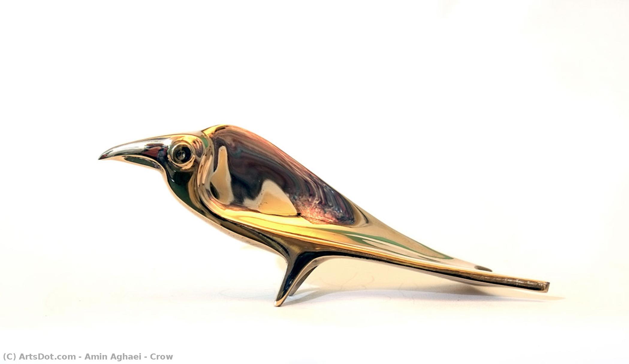 Crow — Amin Aghaei
