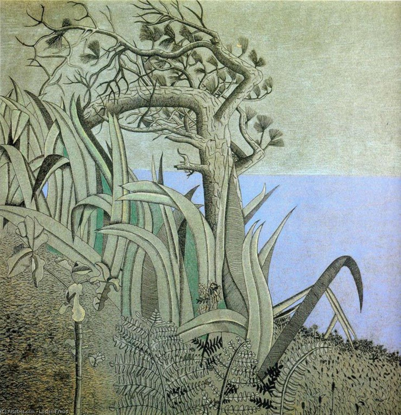 Lucian Freud - Paper (23)