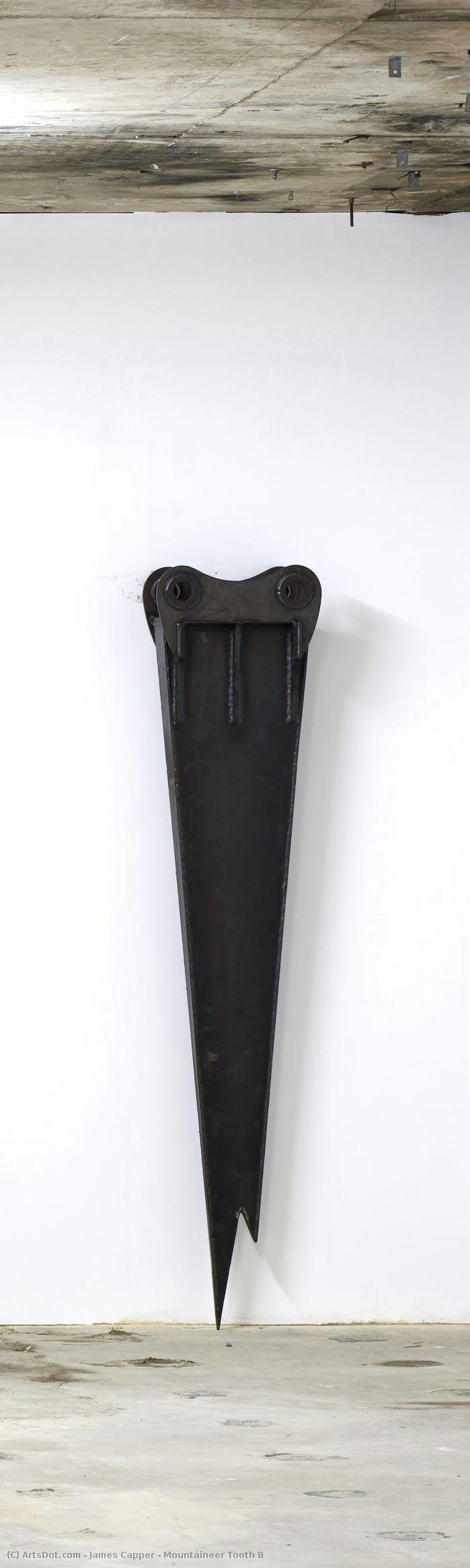 Mountaineer Tooth B — James Capper