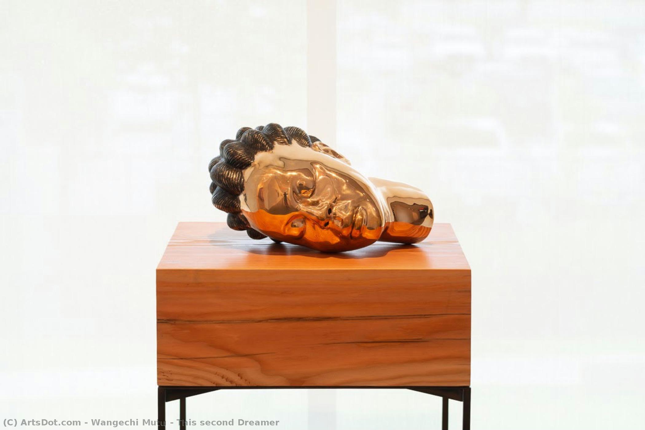 This Second Dreamer — Wangechi Mutu